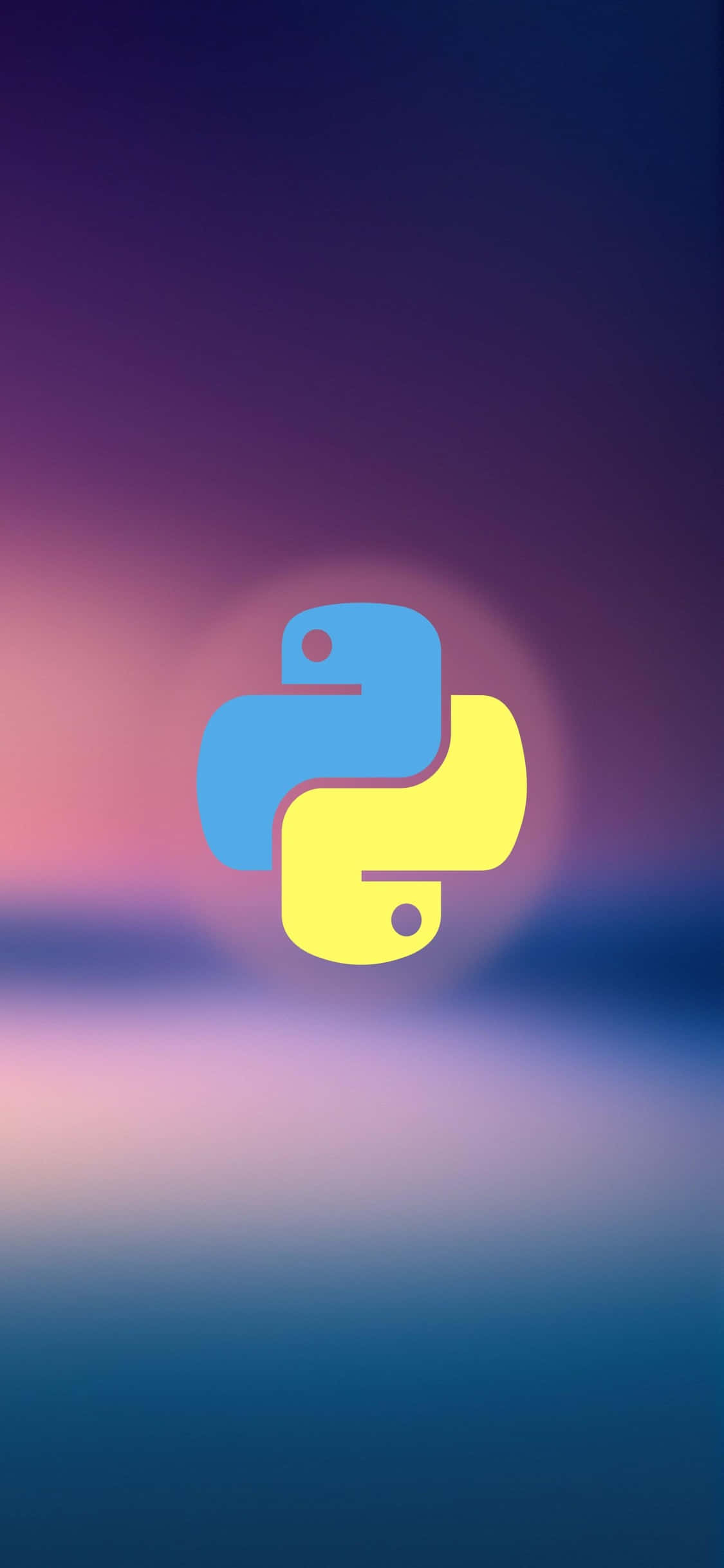 iPhone Xs 编程背景 Python 标志 壁紙