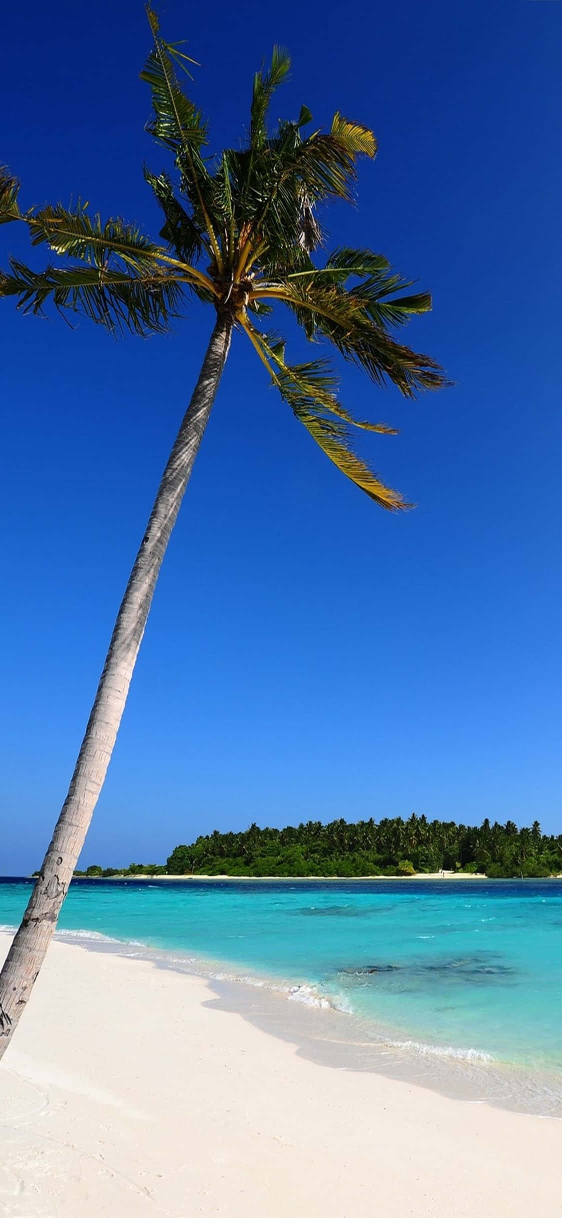 iPhone XS 孤棕沙滩背景 壁紙