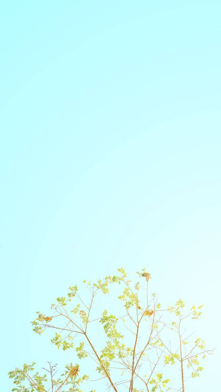 淺藍粉彩iPhone桌布 壁紙