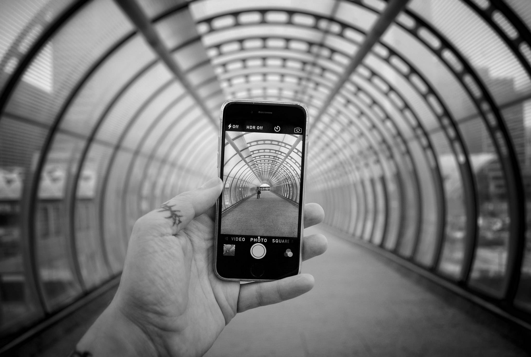 流線銀色iPhone靜立於寧靜花卉背景前 壁紙