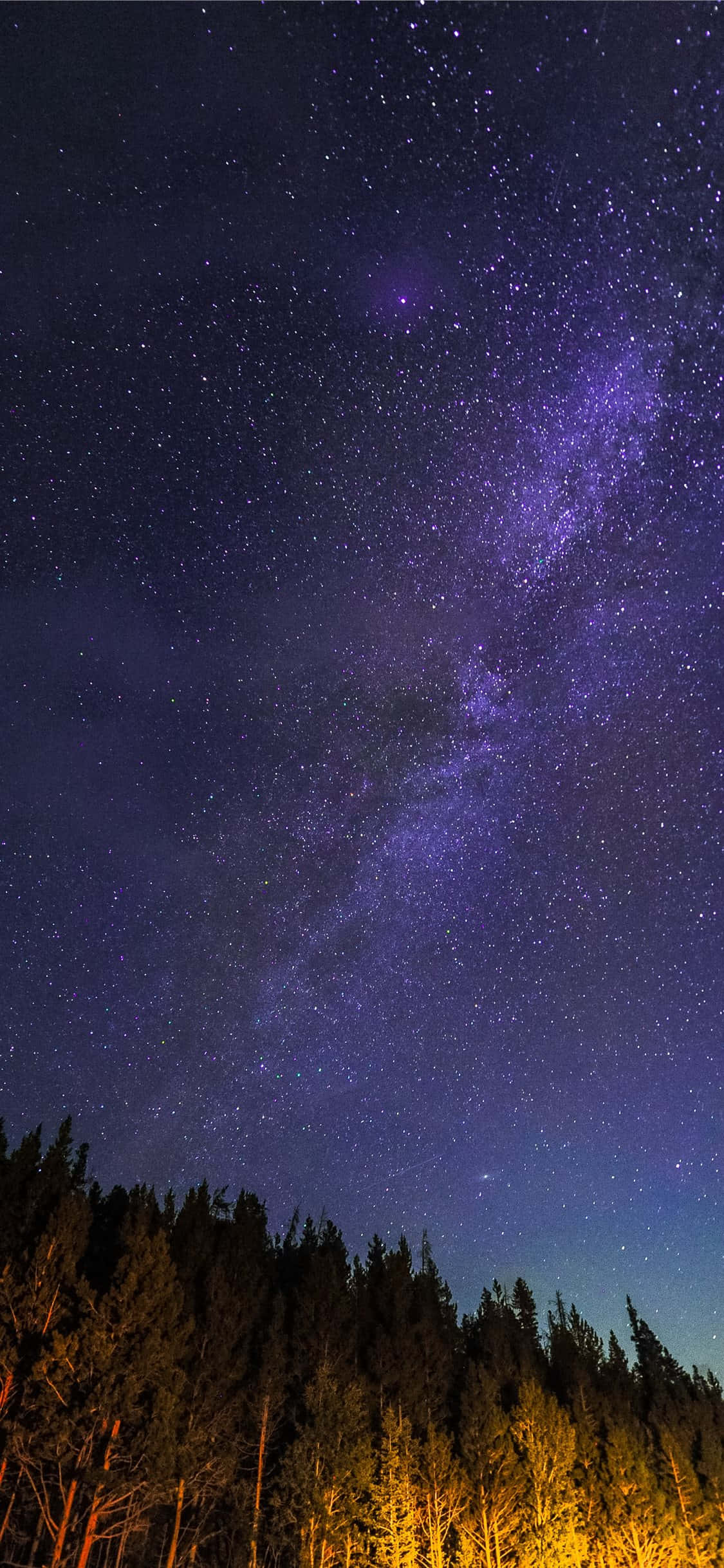 星夜森林.JPG 壁紙