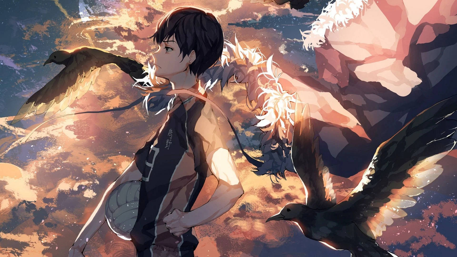Kageyama Haikyuu 桌面 壁紙