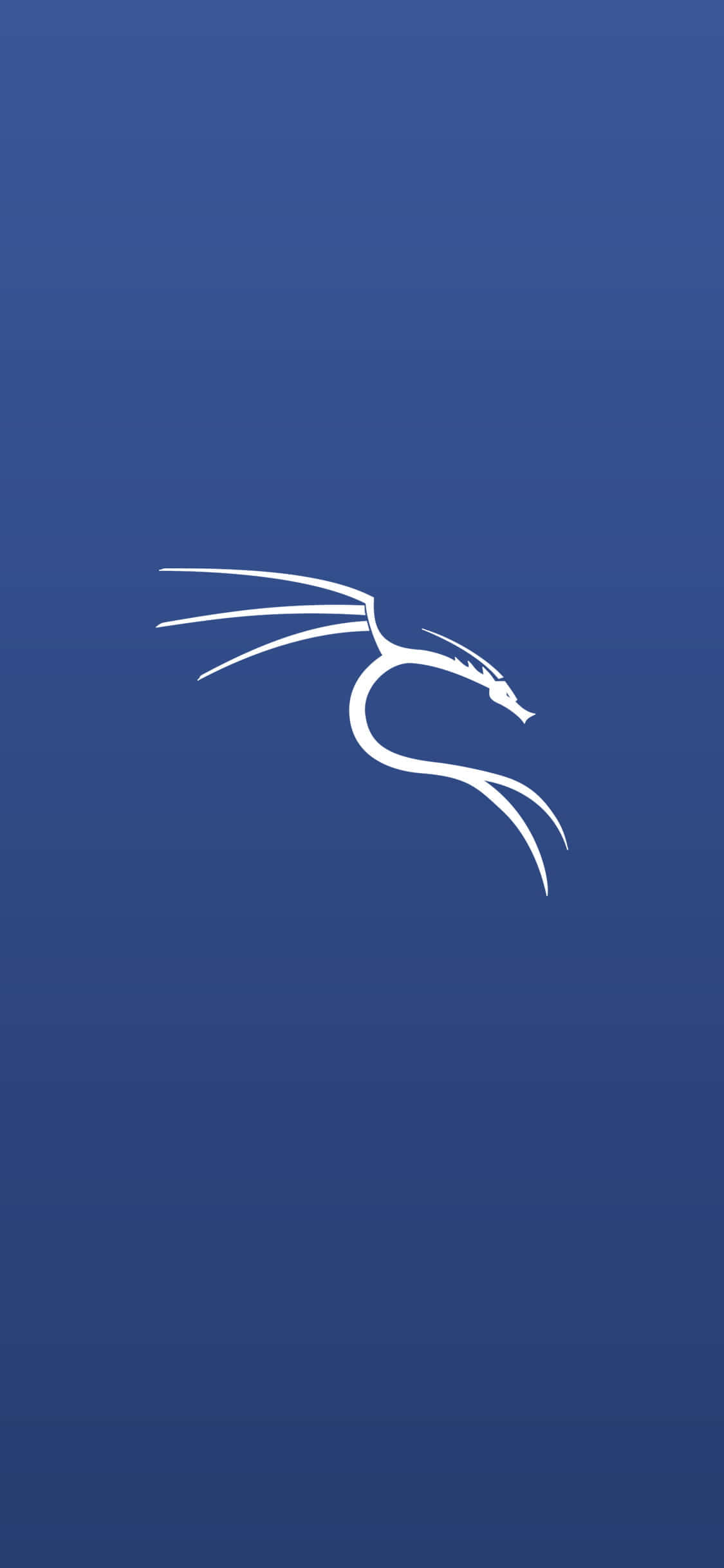 Kali Linux 矩阵环境 壁紙