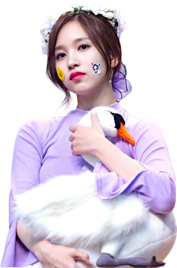 Kpop明星與天鵝玩偶 壁紙