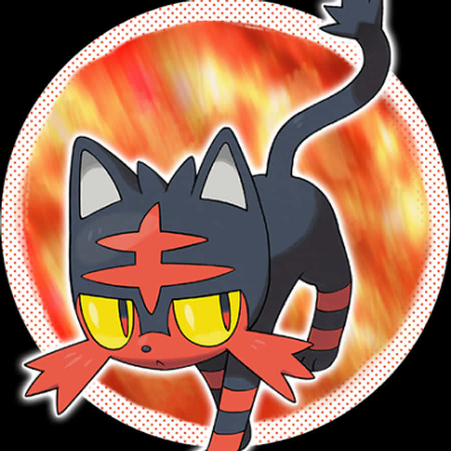 Litten 搭配橙色圓形圖案 壁紙