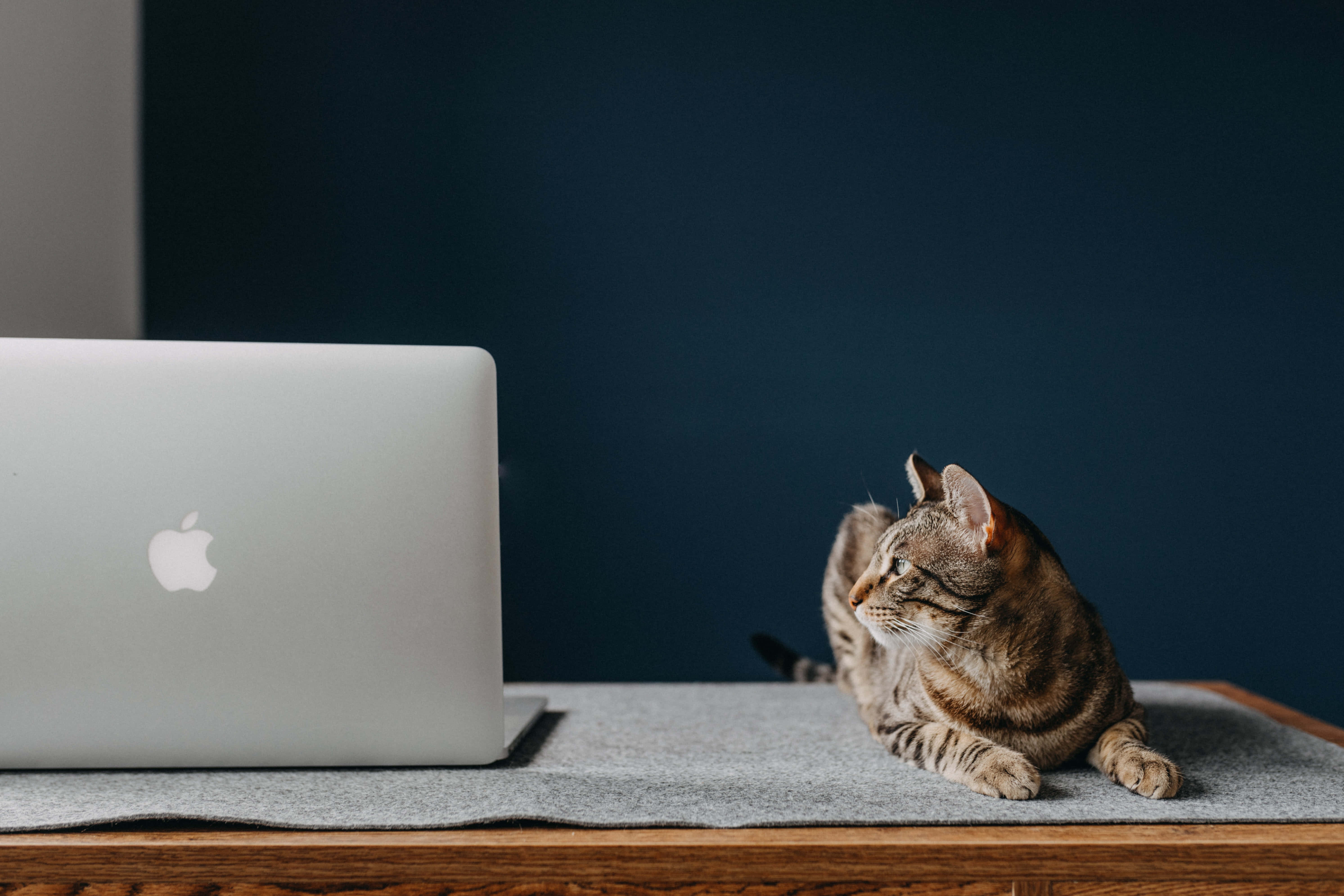 經典Macbook筆電，簡約風格設計 壁紙