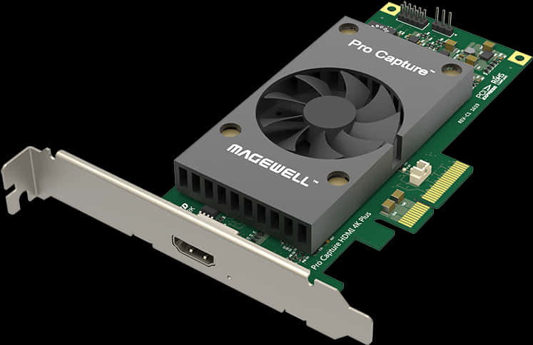 Magewell Pro 擷取卡 壁紙