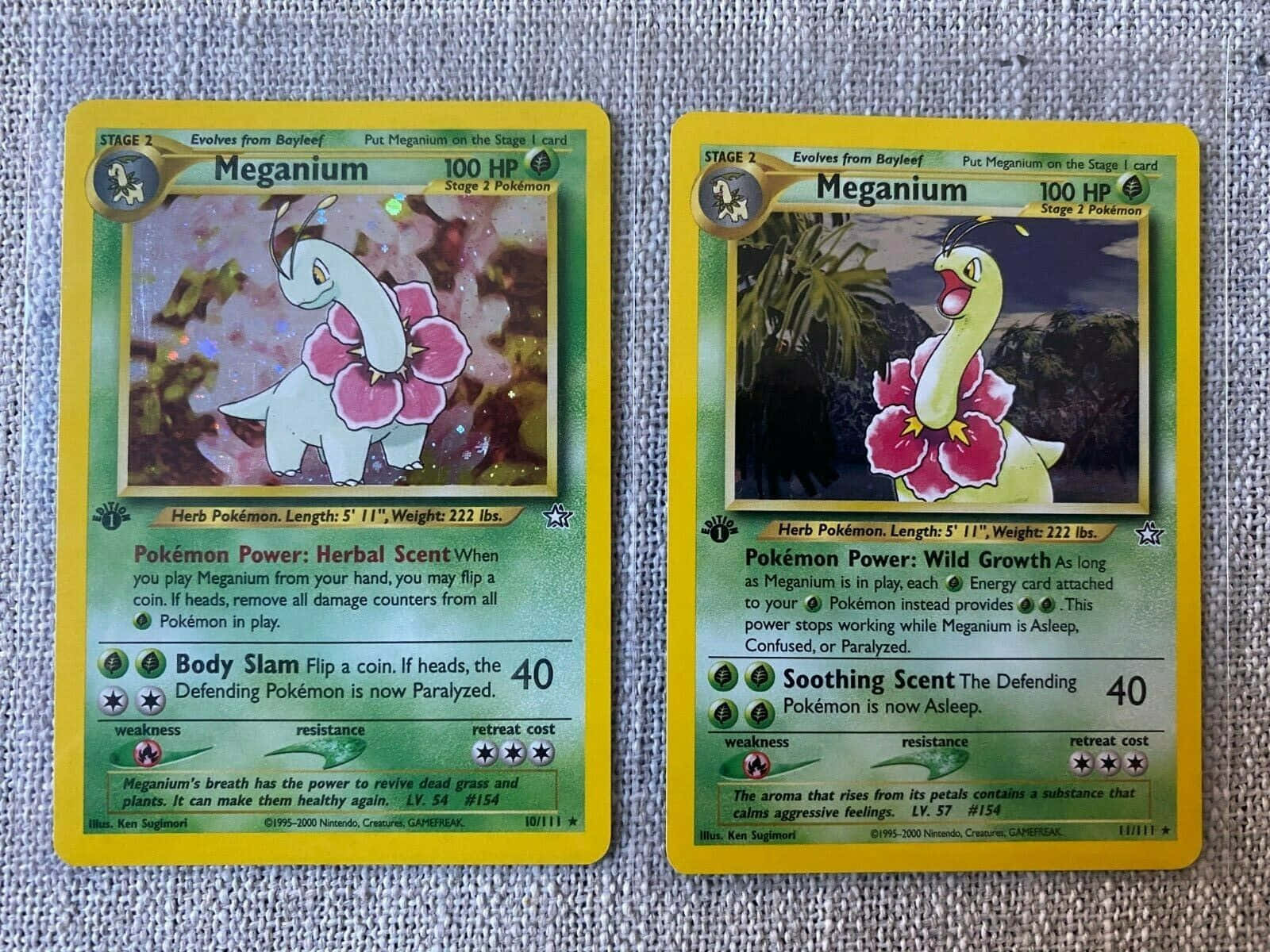 兩張Meganium寶可夢交易卡 壁紙