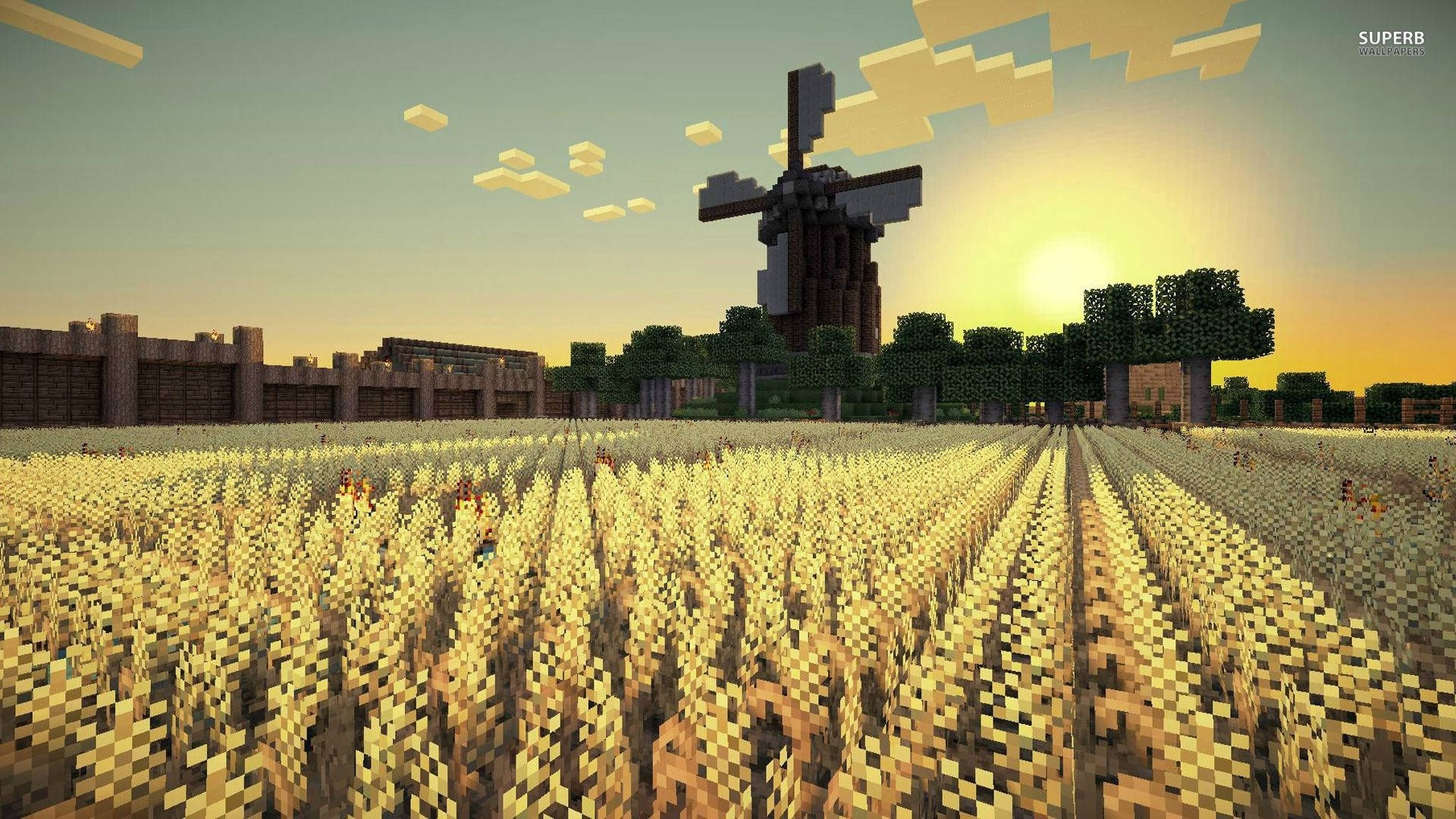 在 Minecraft 稻田中享受寧靜的早晨 壁紙