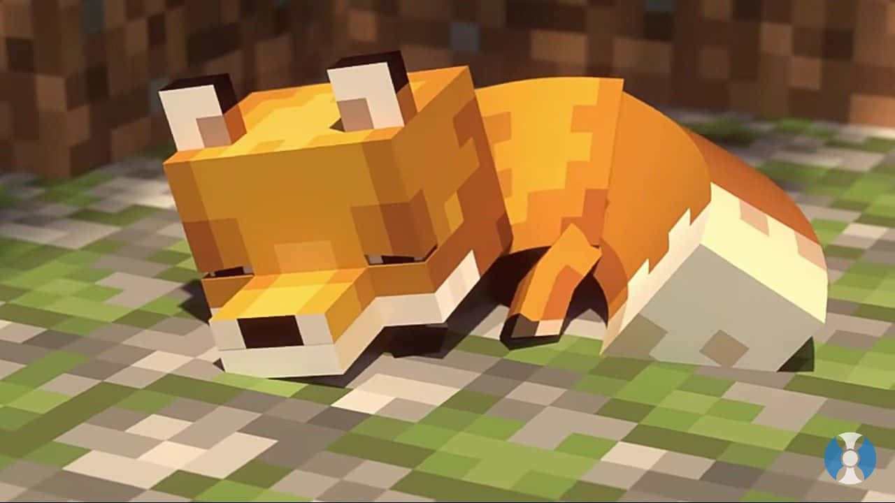 可愛的Minecraft睡覺狐狸 壁紙