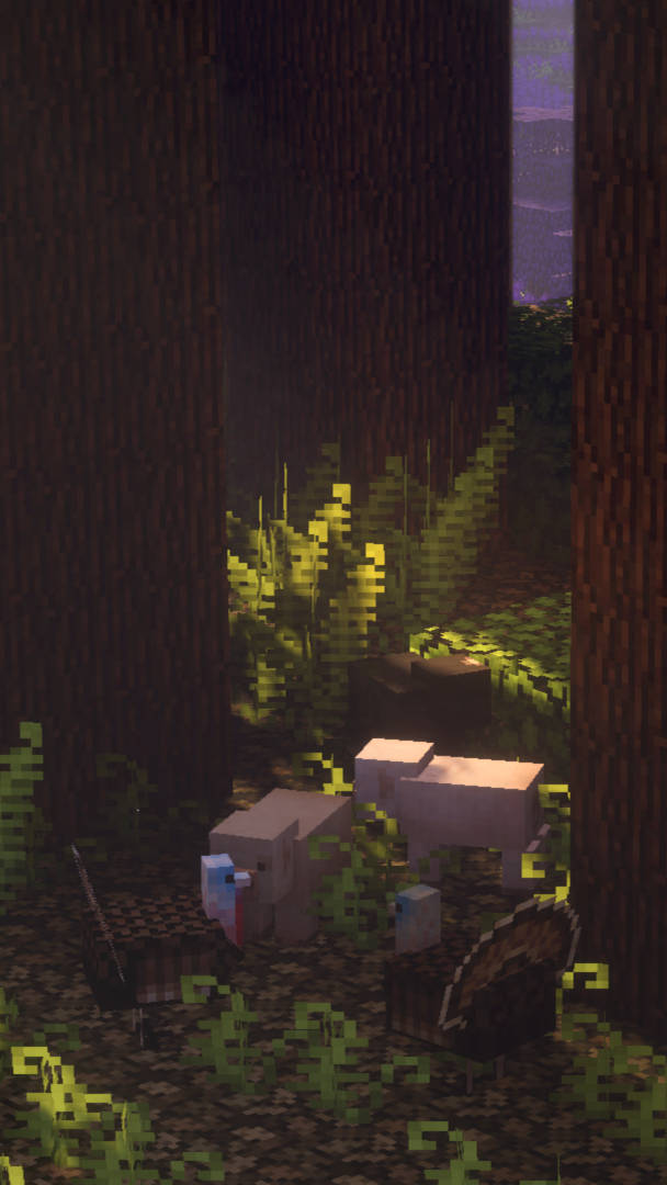 Minecraft 美學隱藏暗黑森林 壁紙