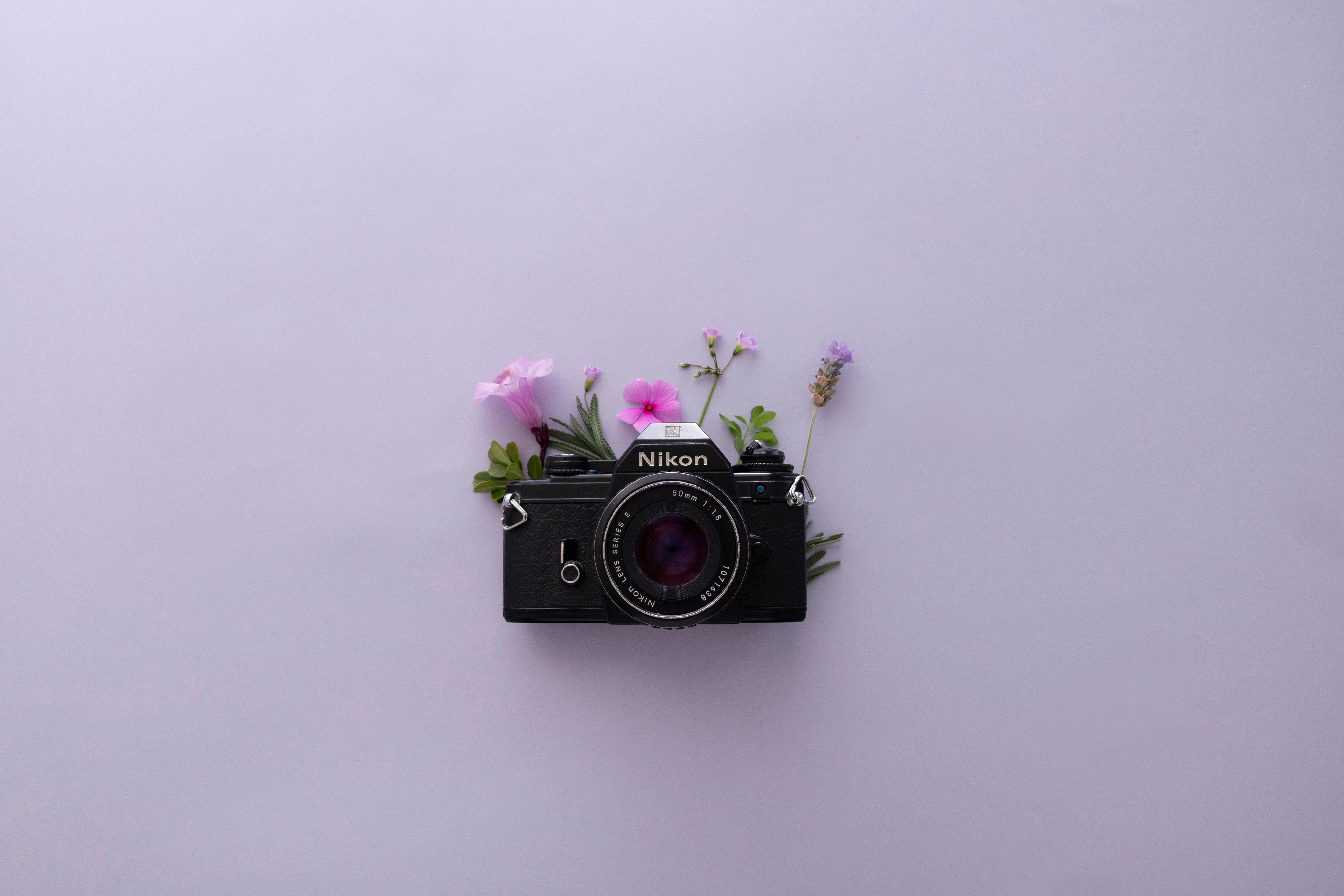 薰衣草美學與Nikon相機 壁紙