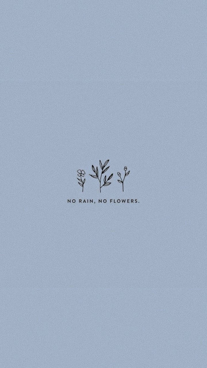 No Rain No Flowers 可愛美學 壁紙