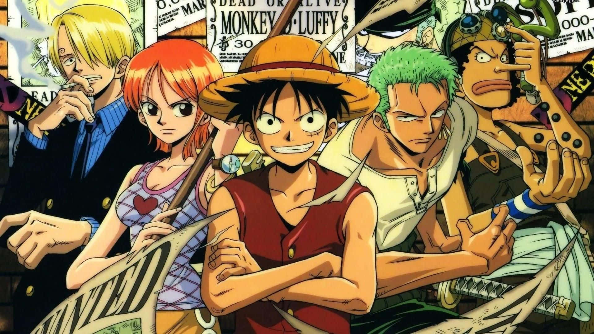 One Piece 背景 壁紙