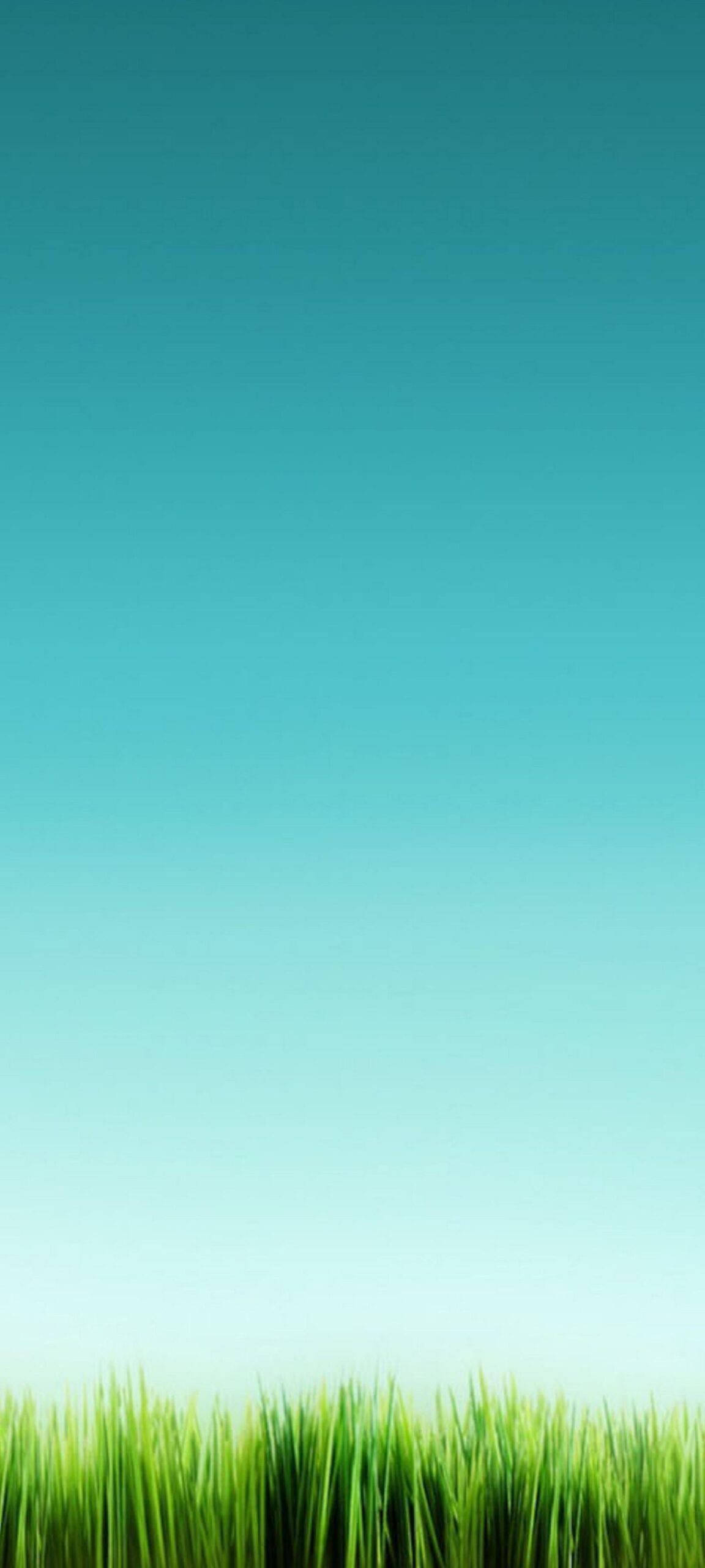 OnePlus 8 Pro 寧靜天際線 壁紙