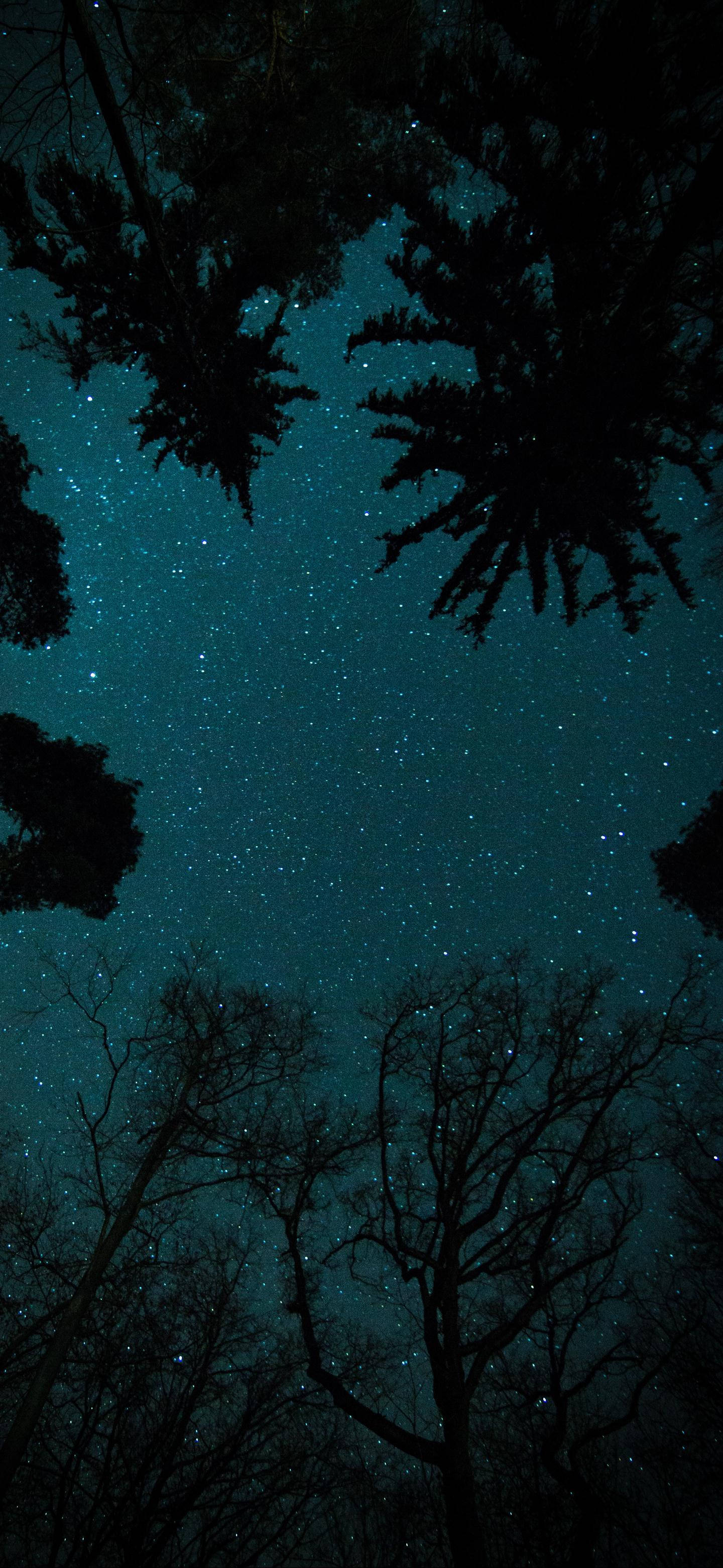 OnePlus 星空夜空 壁紙