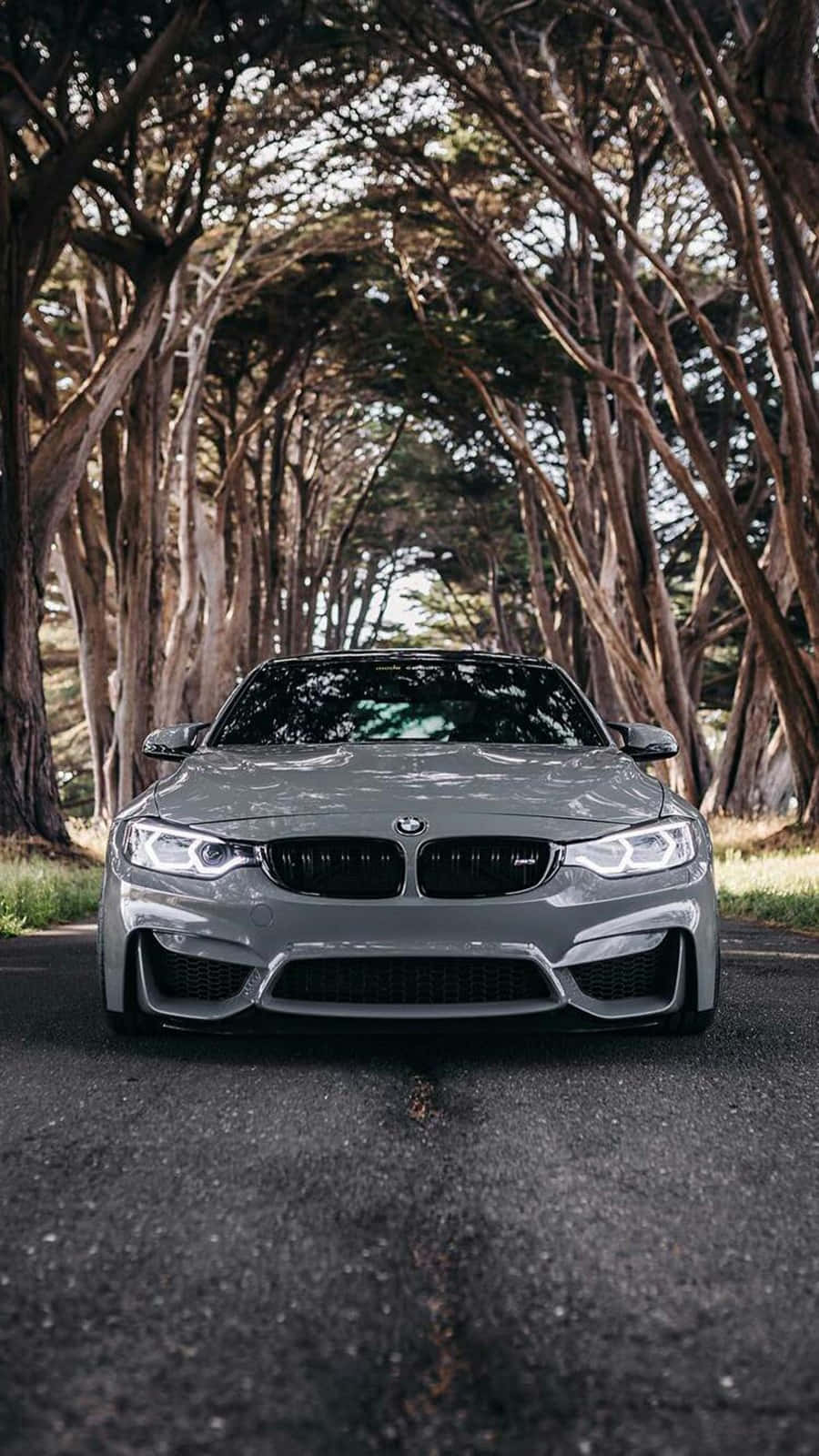 Pixel 3 BMW M4 銀石金屬II 桌布背景 壁紙