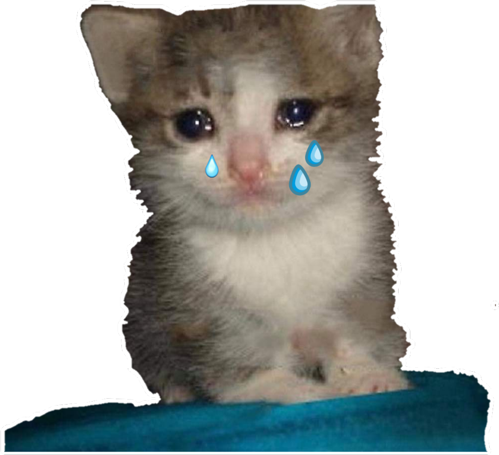 哭泣小猫梗图.PNG 壁紙