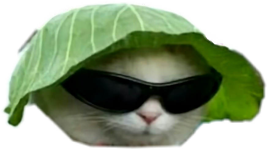 戴墨镜和叶子帽的酷猫.PNG 壁紙