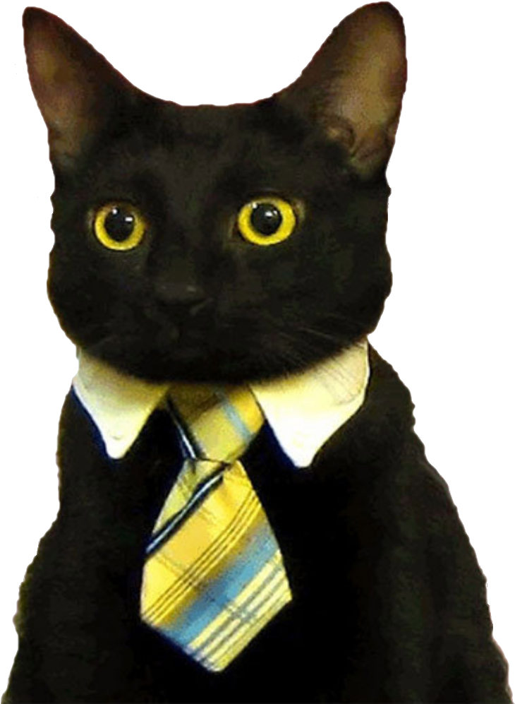 穿西装的商务猫_表情包.PNG 壁紙