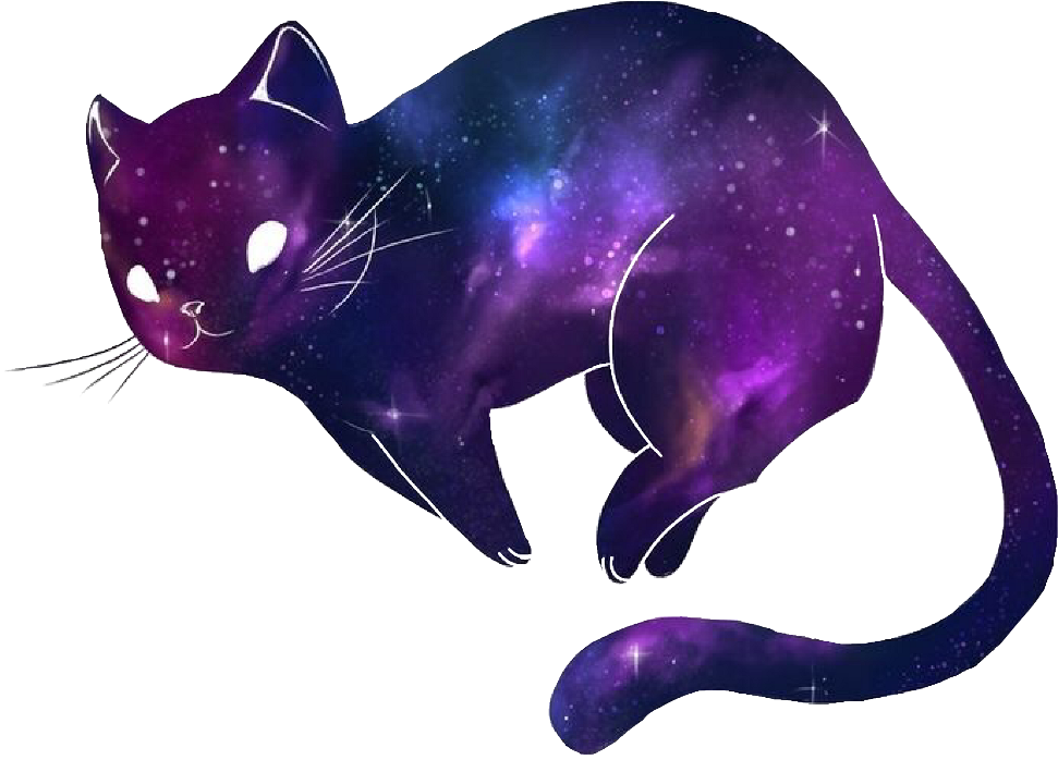 宇宙可爱猫.PNG 壁紙
