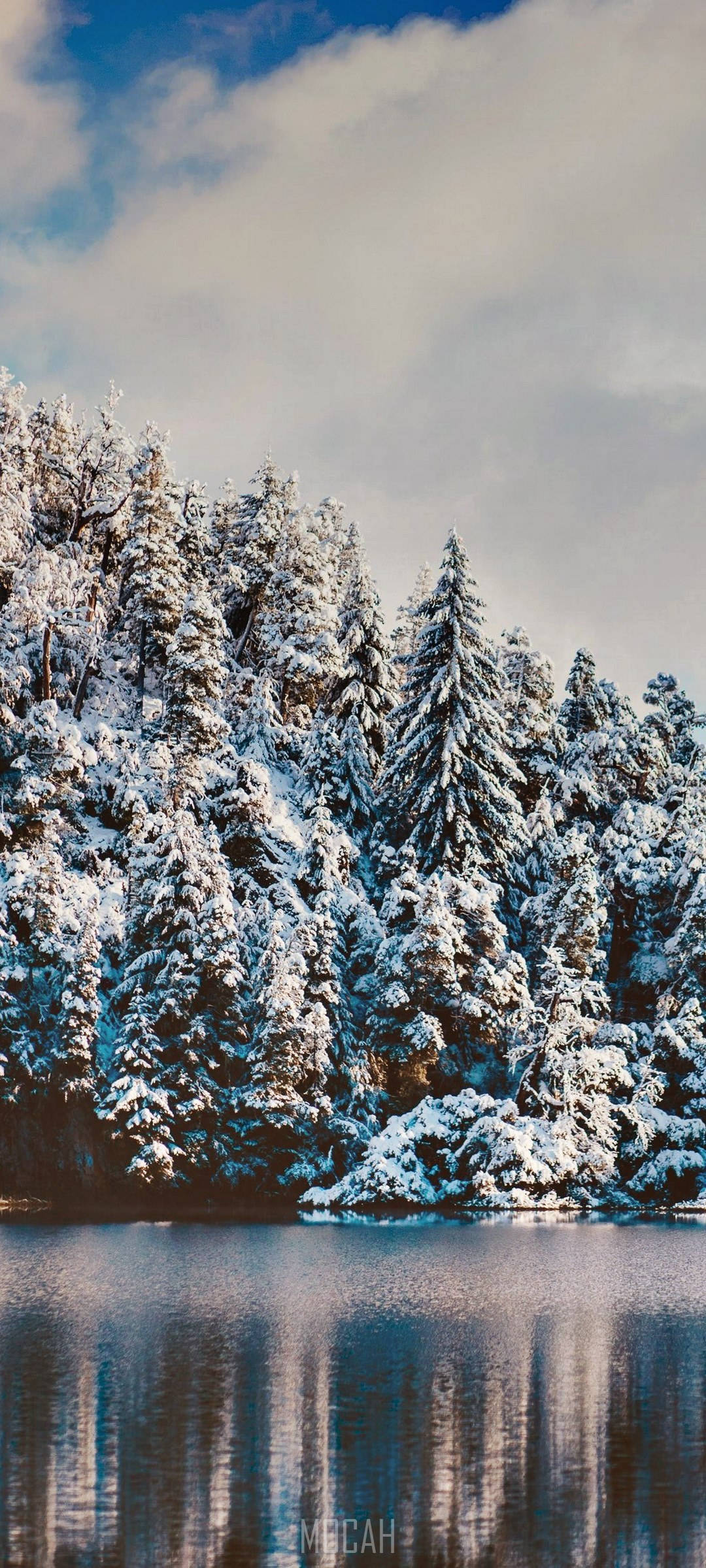 Realme 7 Pro 雪林 壁紙