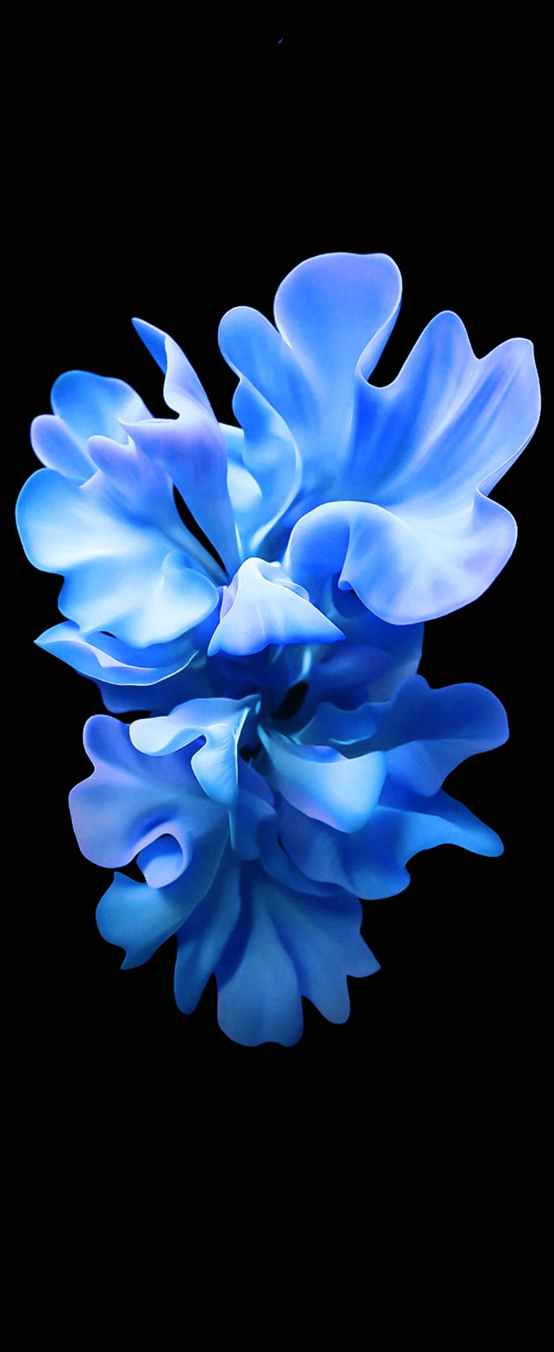 Samsung S20 FE水晶藍花 壁紙