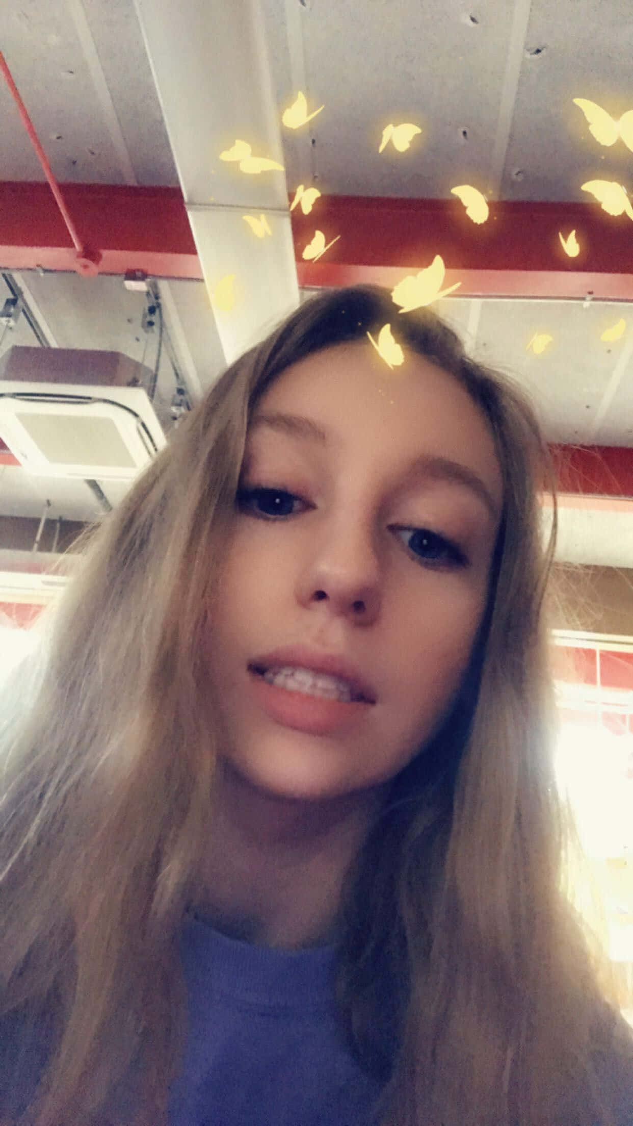 Snapchat 黄色蝴蝶图片 壁紙