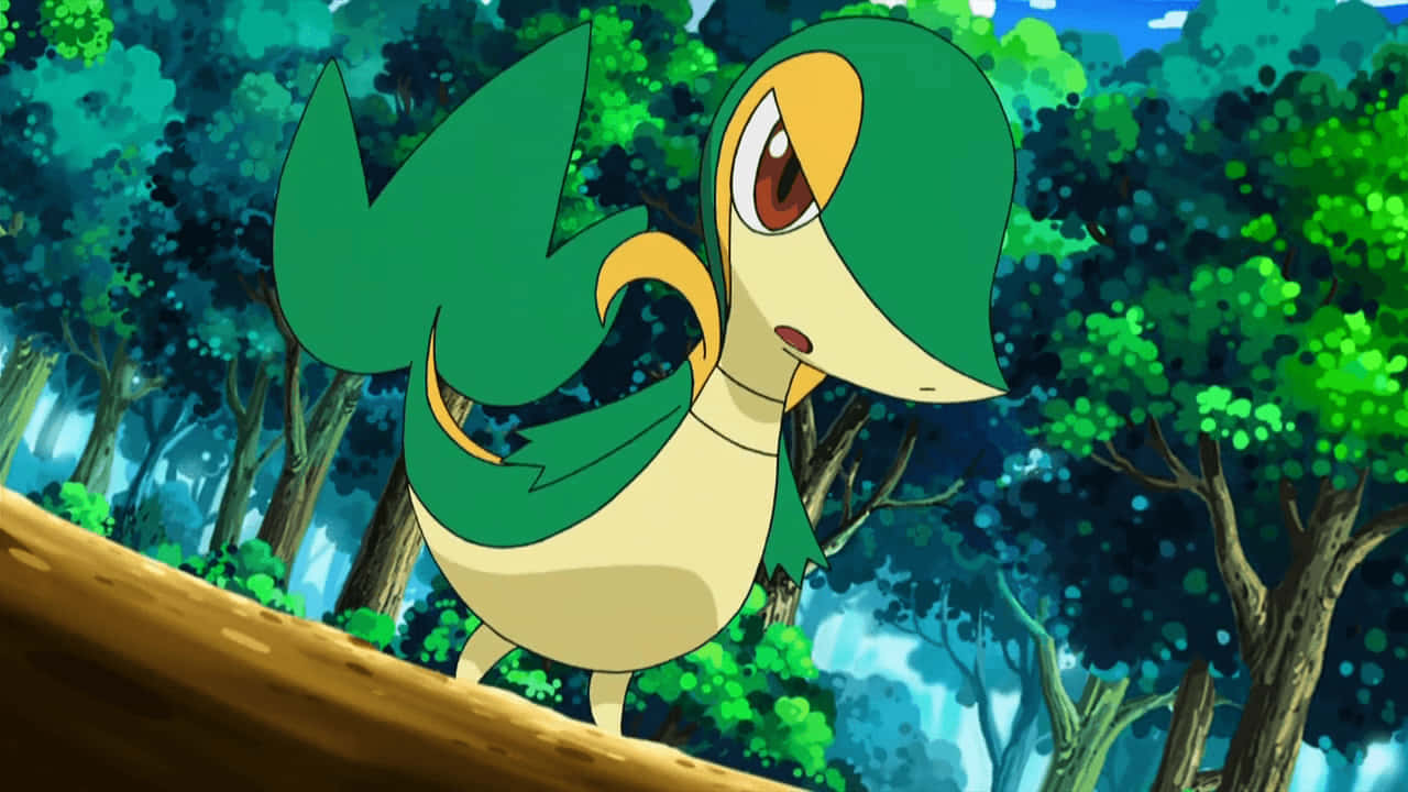 嚴肅的Snivy 壁紙