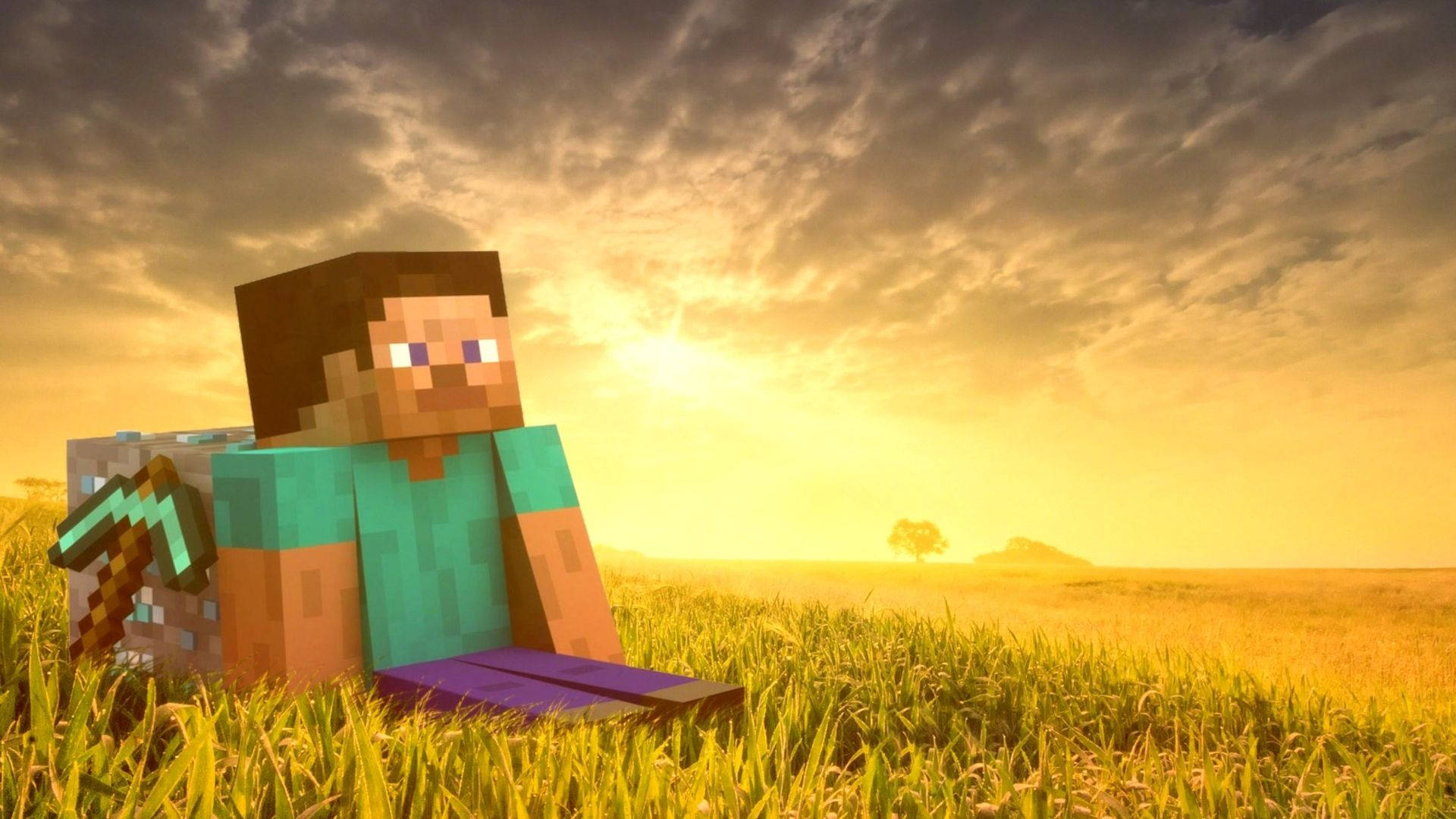 Steve 在草地與鑽石上的 Minecraft HD 桌布 壁紙