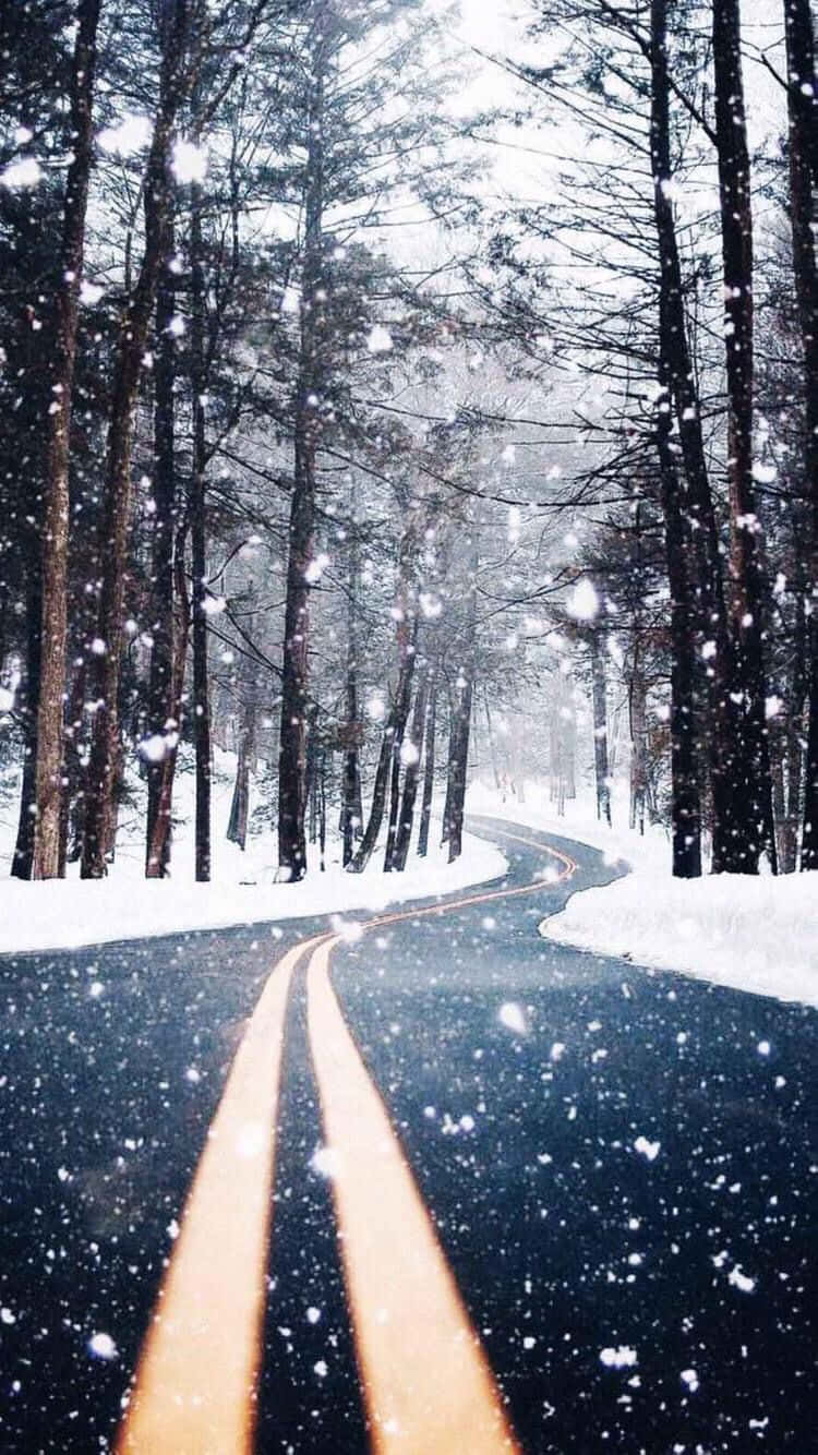溫馨冬日道路 Tumblr 壁紙