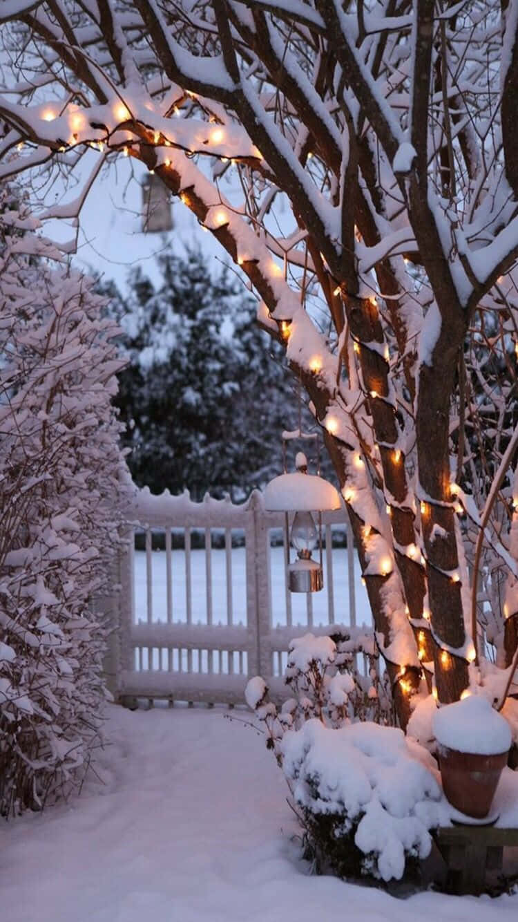 雪門溫馨冬日Tumblr 壁紙