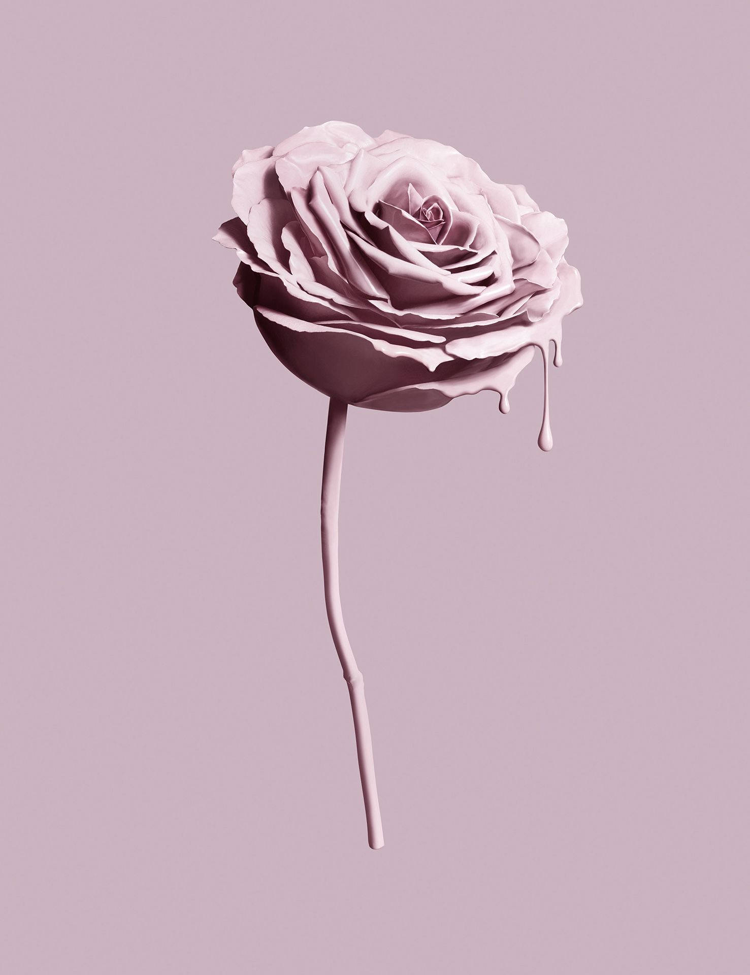 粉紅玫瑰Tumblr美學 壁紙