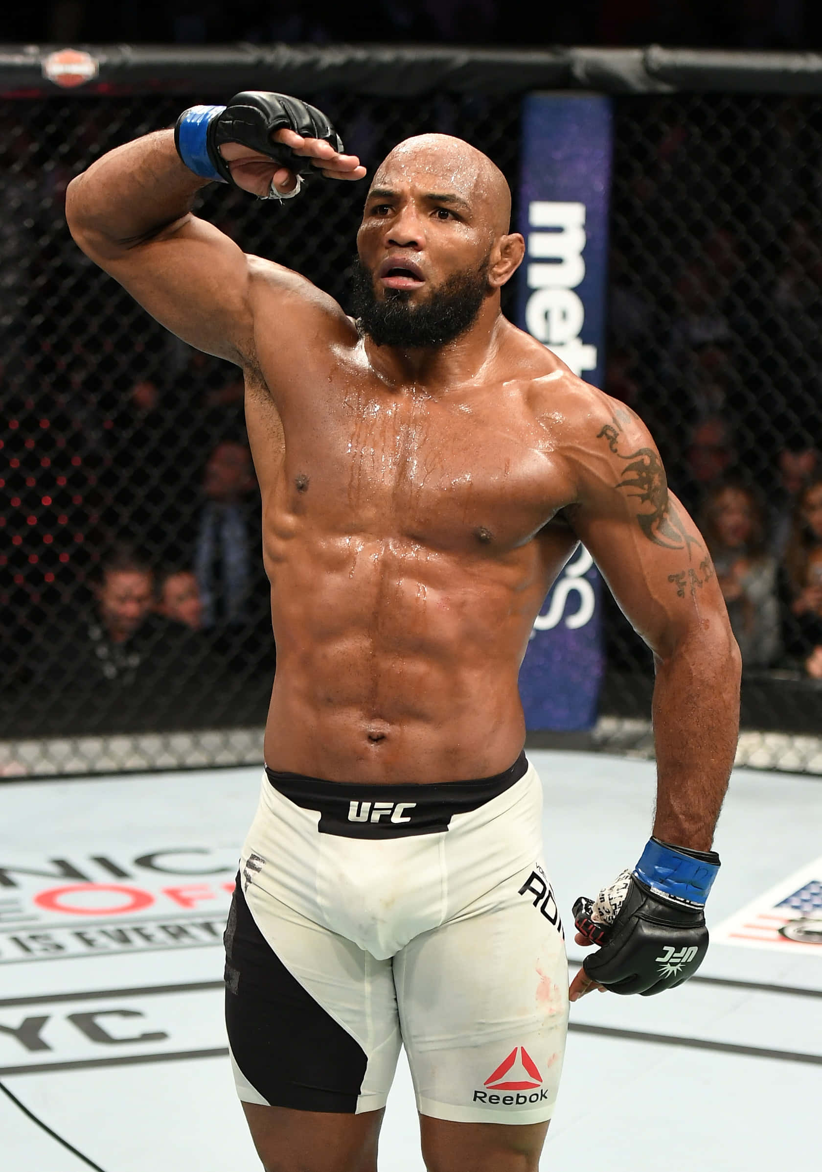 尤爾·羅梅羅在UFC 205的致敬姿勢 壁紙
