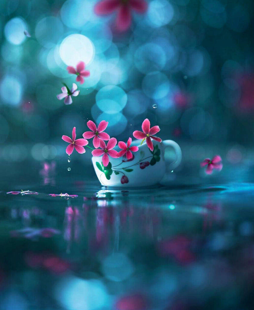 WhatsApp DP 花朵茶杯 壁紙