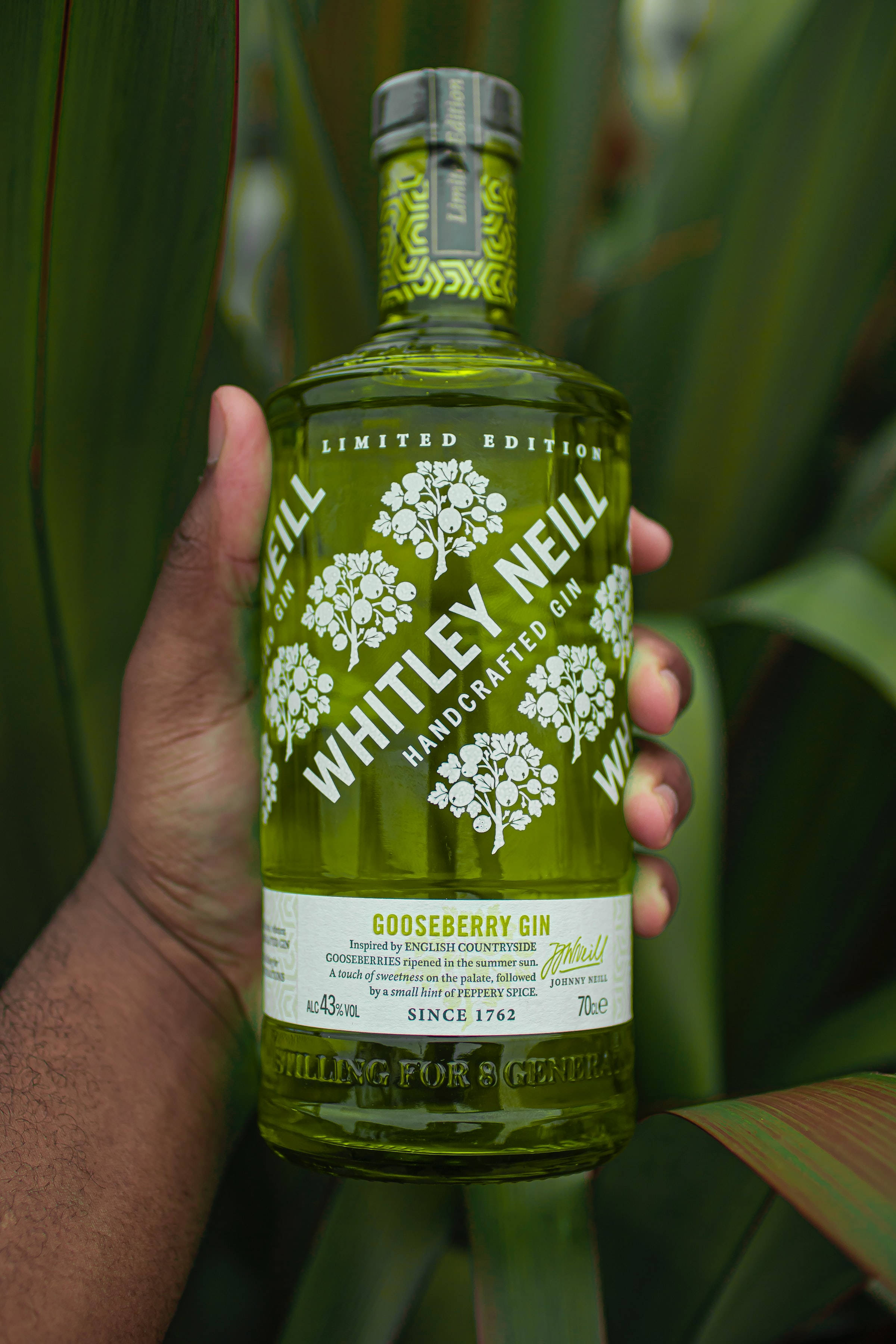 Whitley Neill 琴酒 壁紙