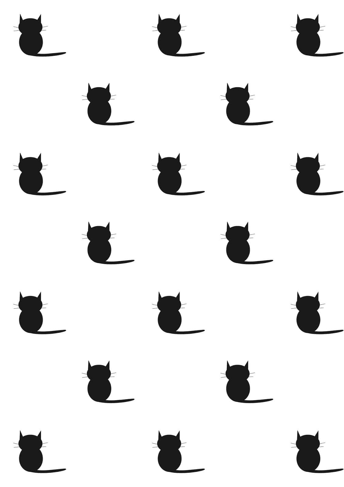 一只美丽的黑猫专注凝视 壁紙