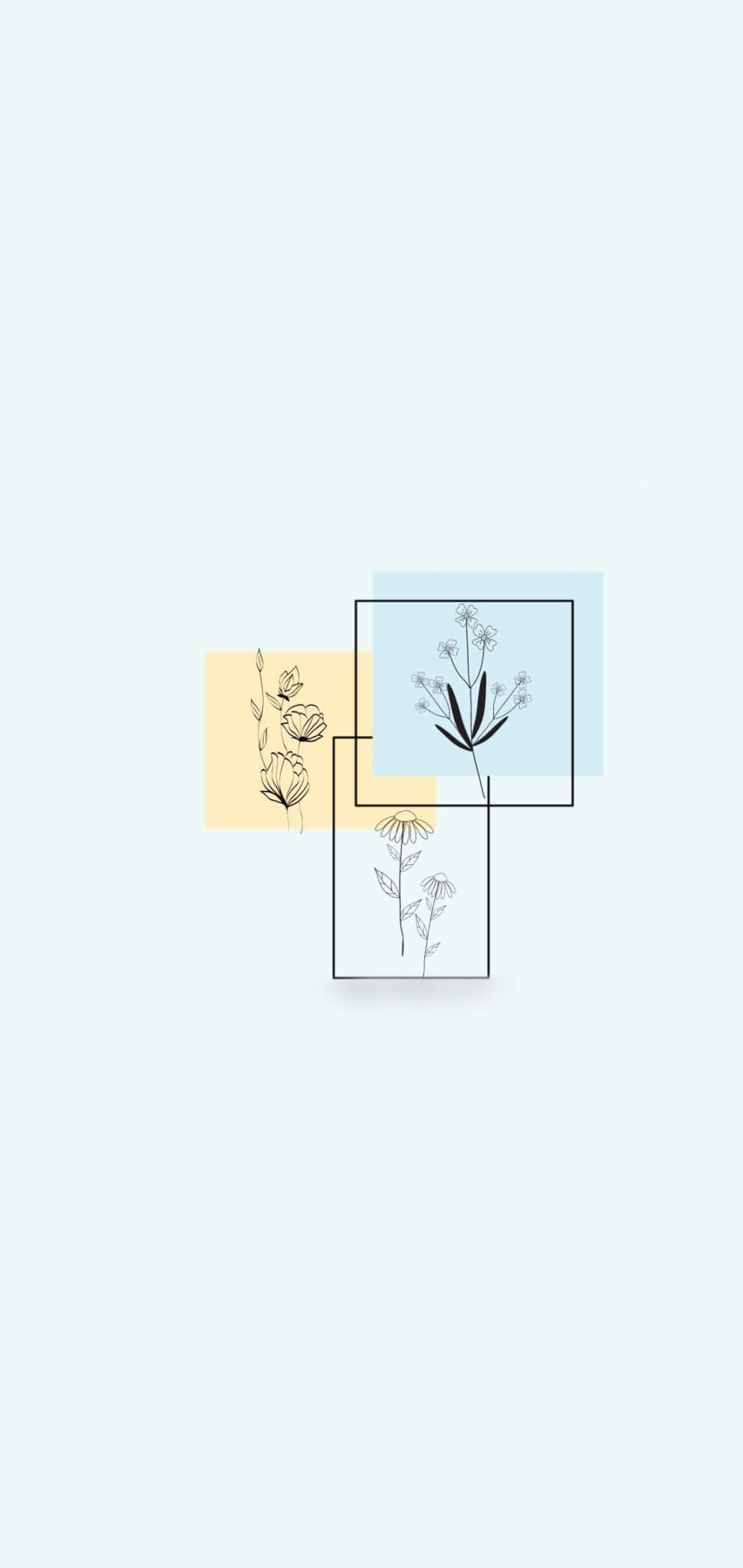 一組植物與花卉的插畫系列 壁紙