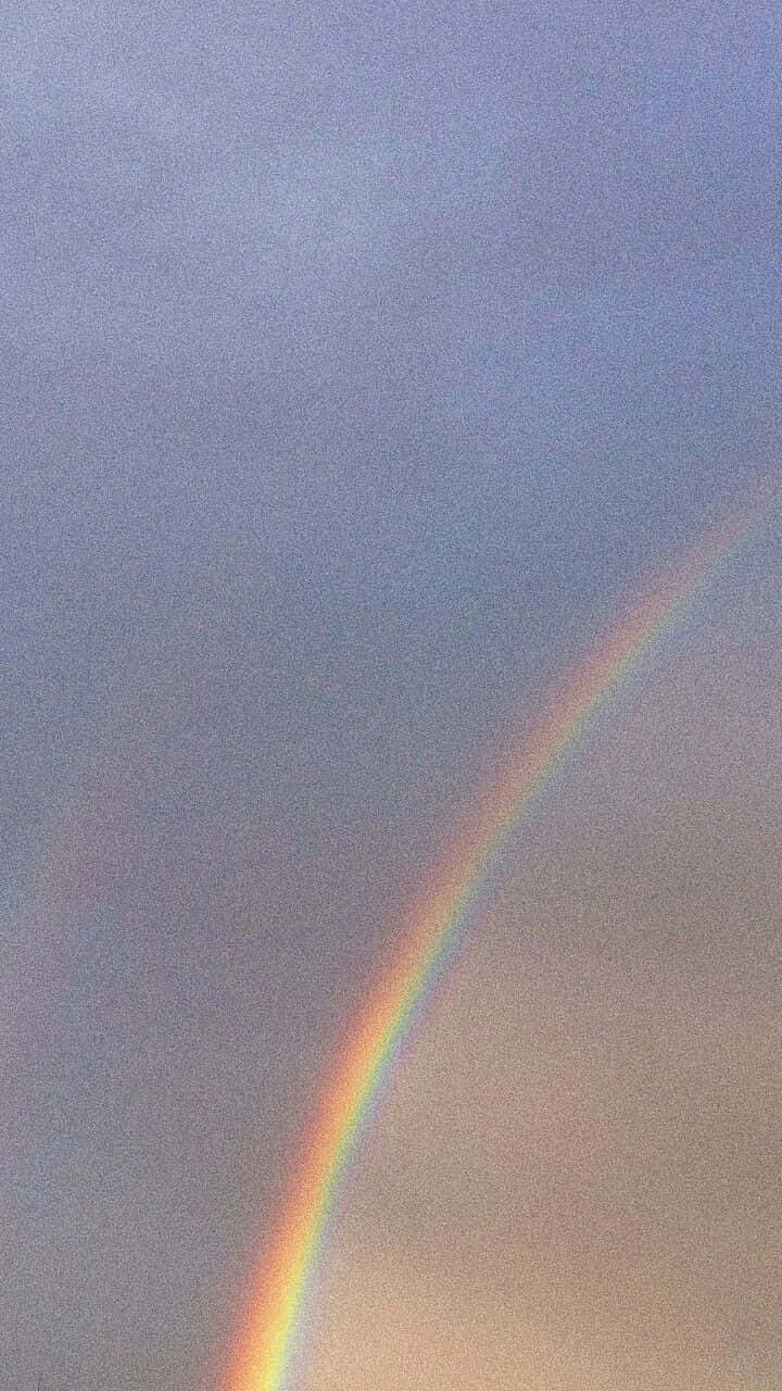 一道充滿活力的超現實彩虹橫跨雲海之上。 壁紙