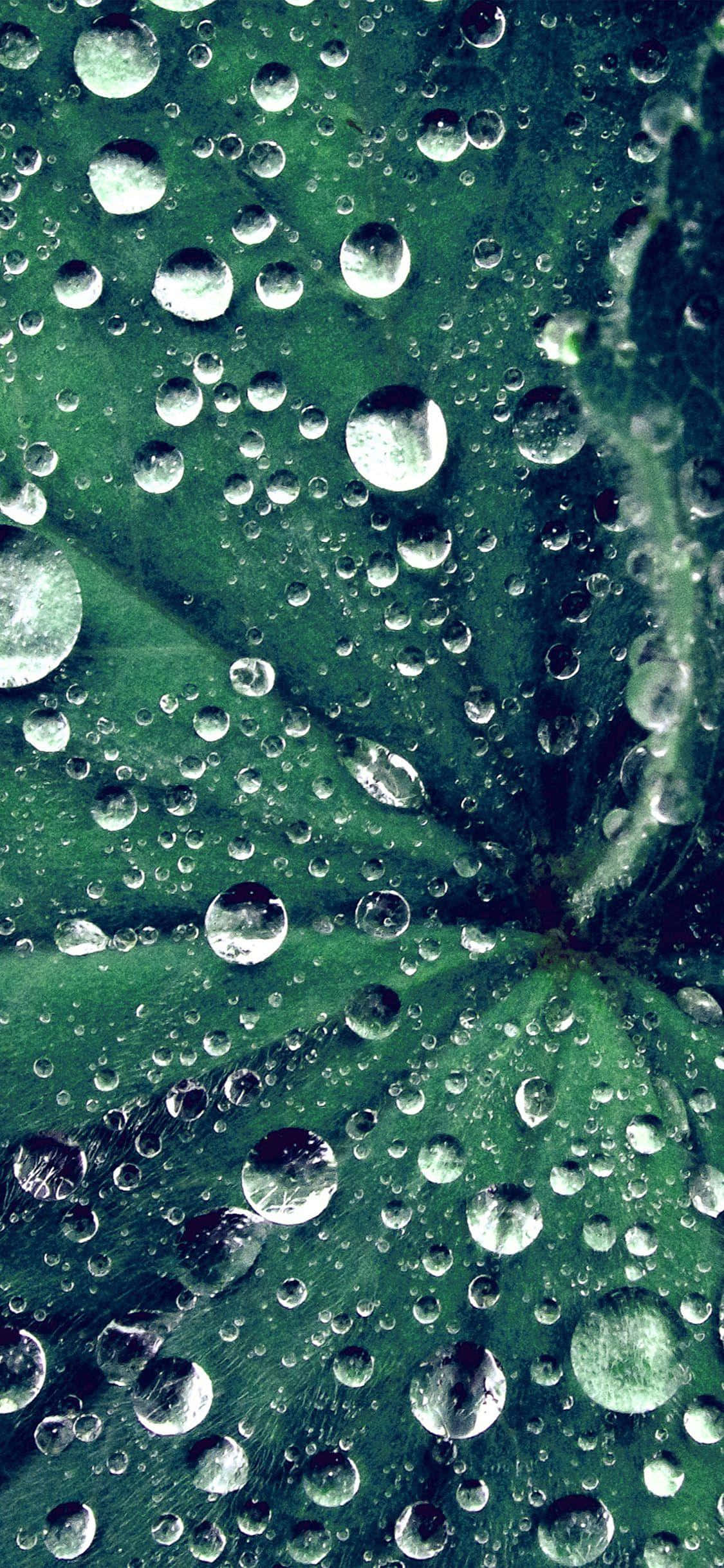 一顆閃耀的水滴 壁紙