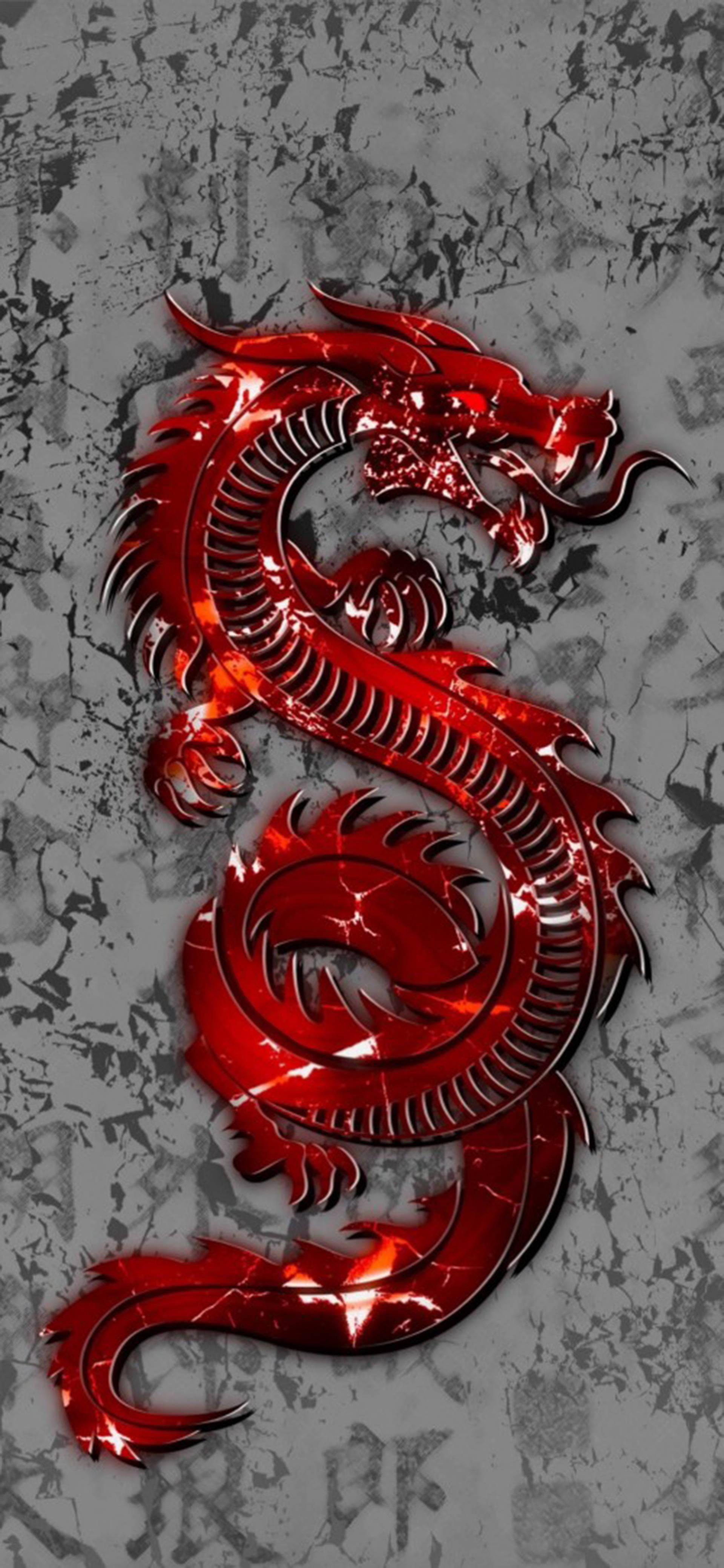 中国红东方龙 壁紙