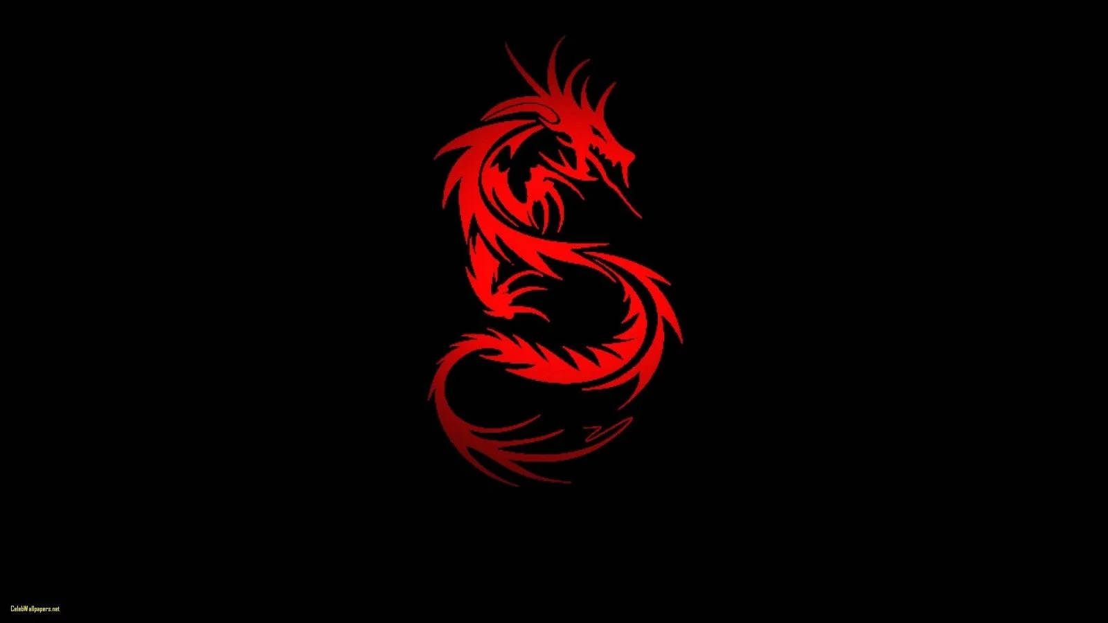 中國S形紅龍 壁紙