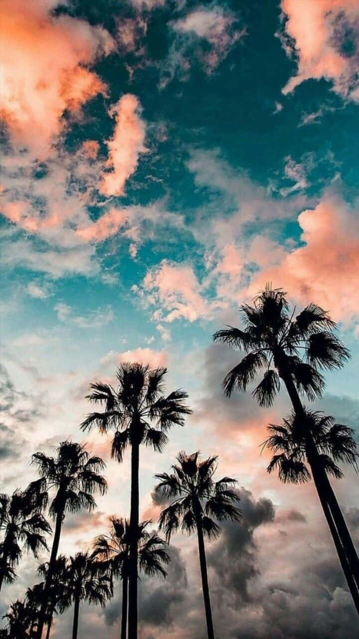 享受溫暖的夏日陽光 壁紙