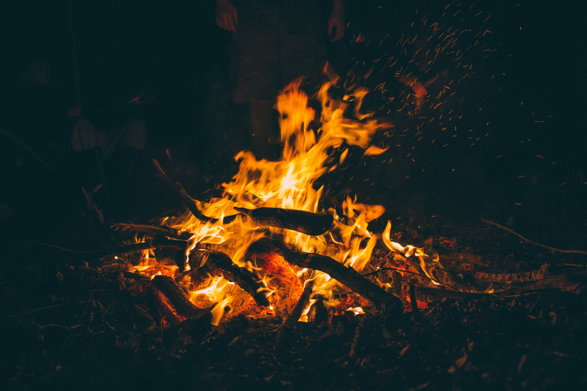 營火燃燒著木柴，橘色火焰在森林的漆黑夜晚中閃耀。