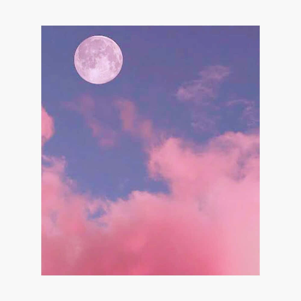 仰望天空，感受美學天際之美。 壁紙