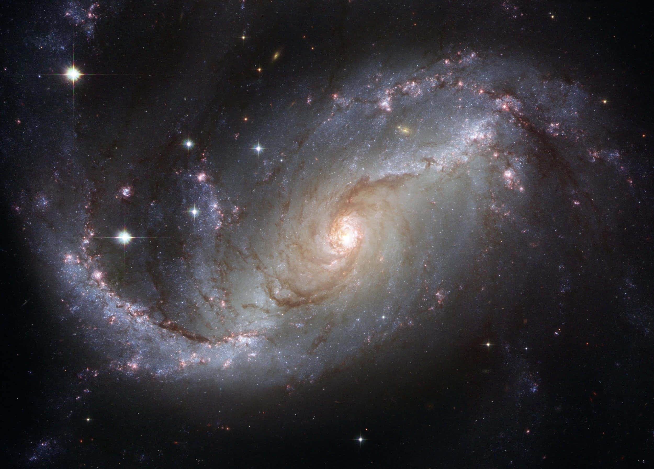 仰望迷人的星空 壁紙