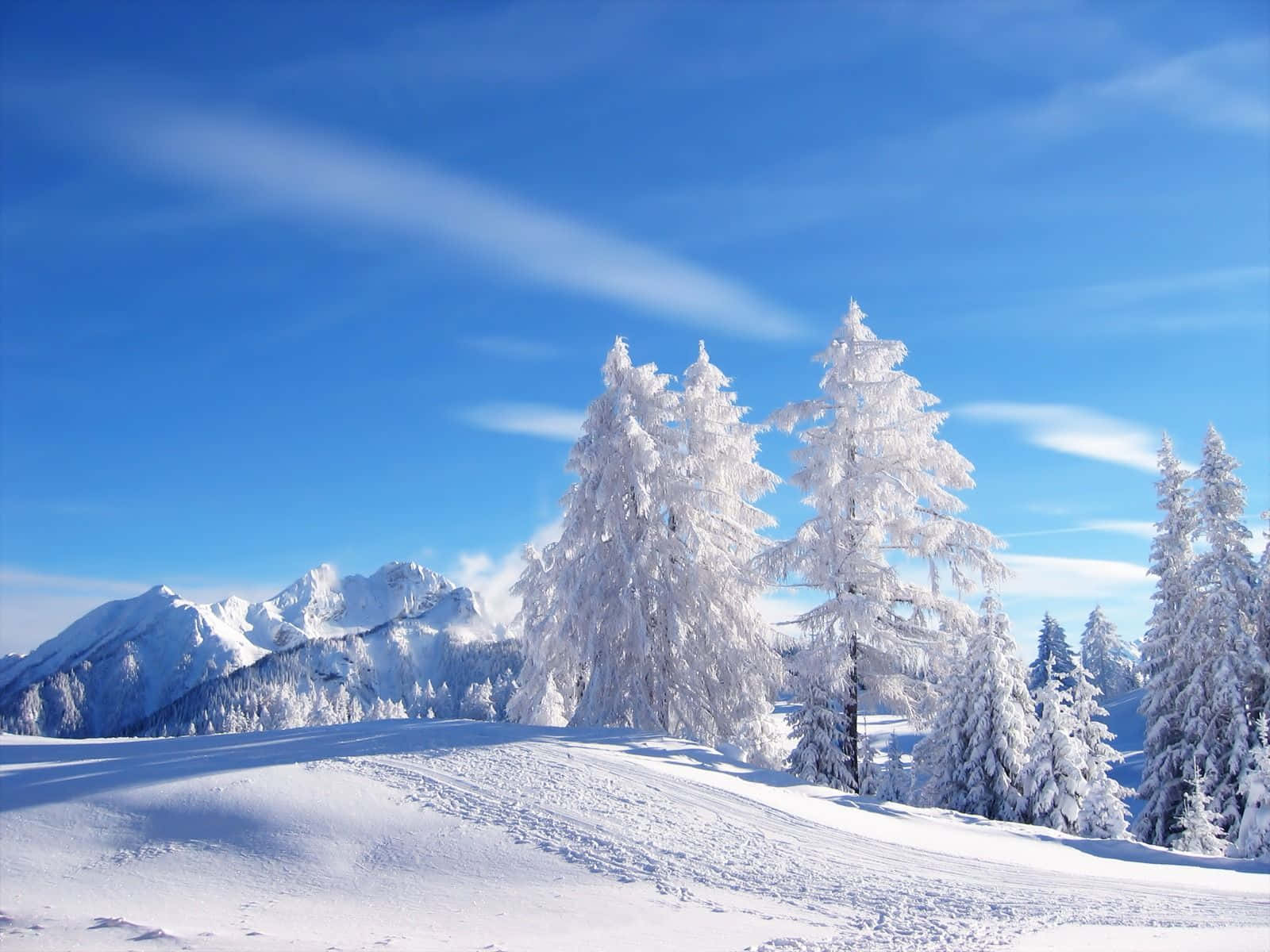俄罗斯冬季雪景 壁紙