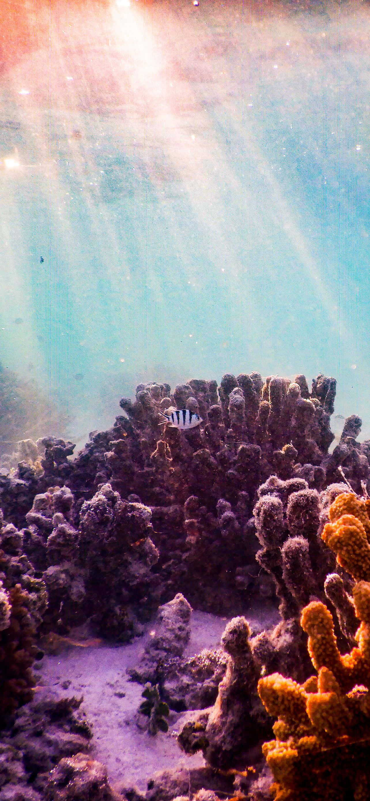 俯瞰宁静湖泊的山景 壁紙