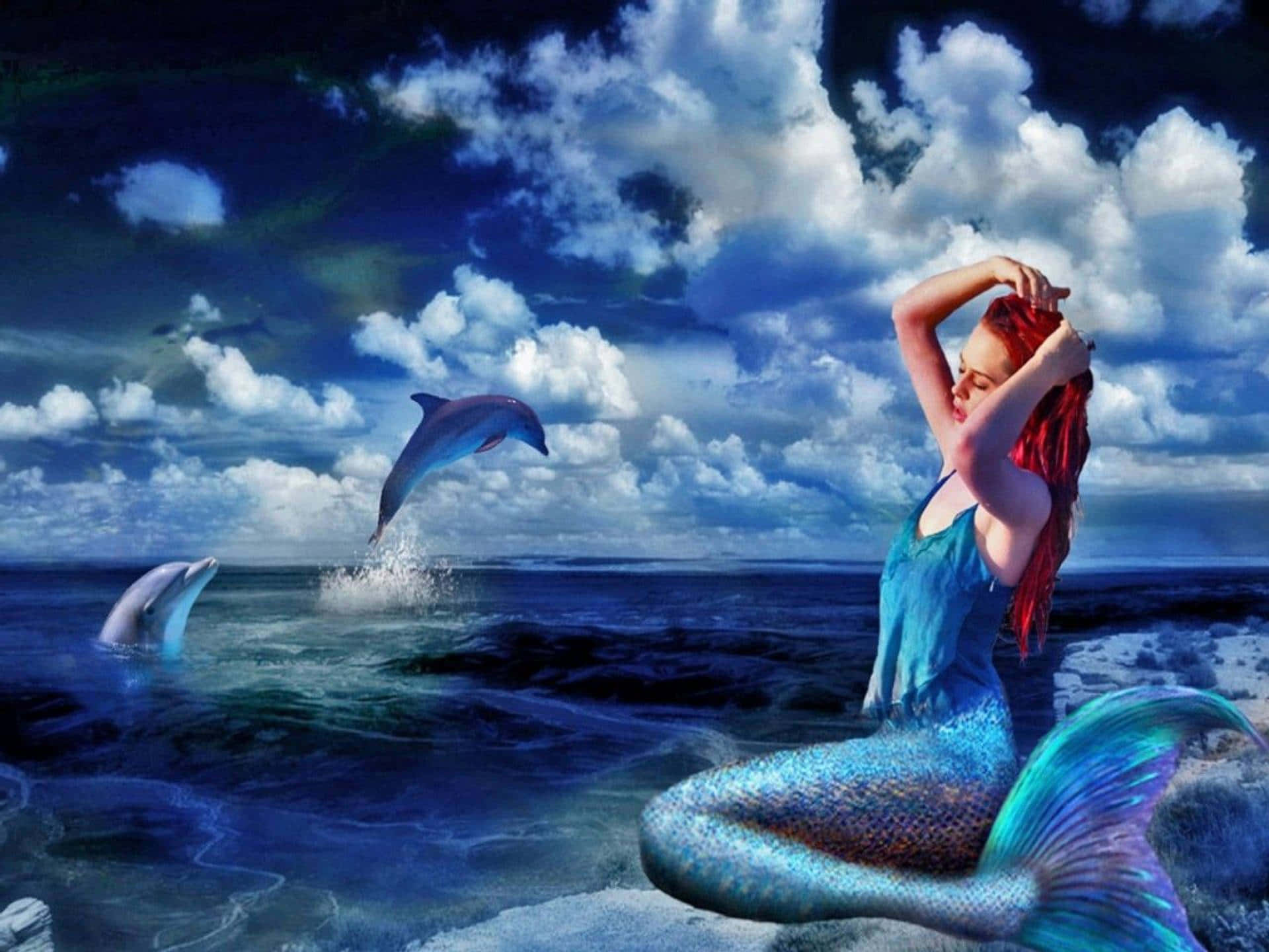 優雅美人魚與海豚 壁紙