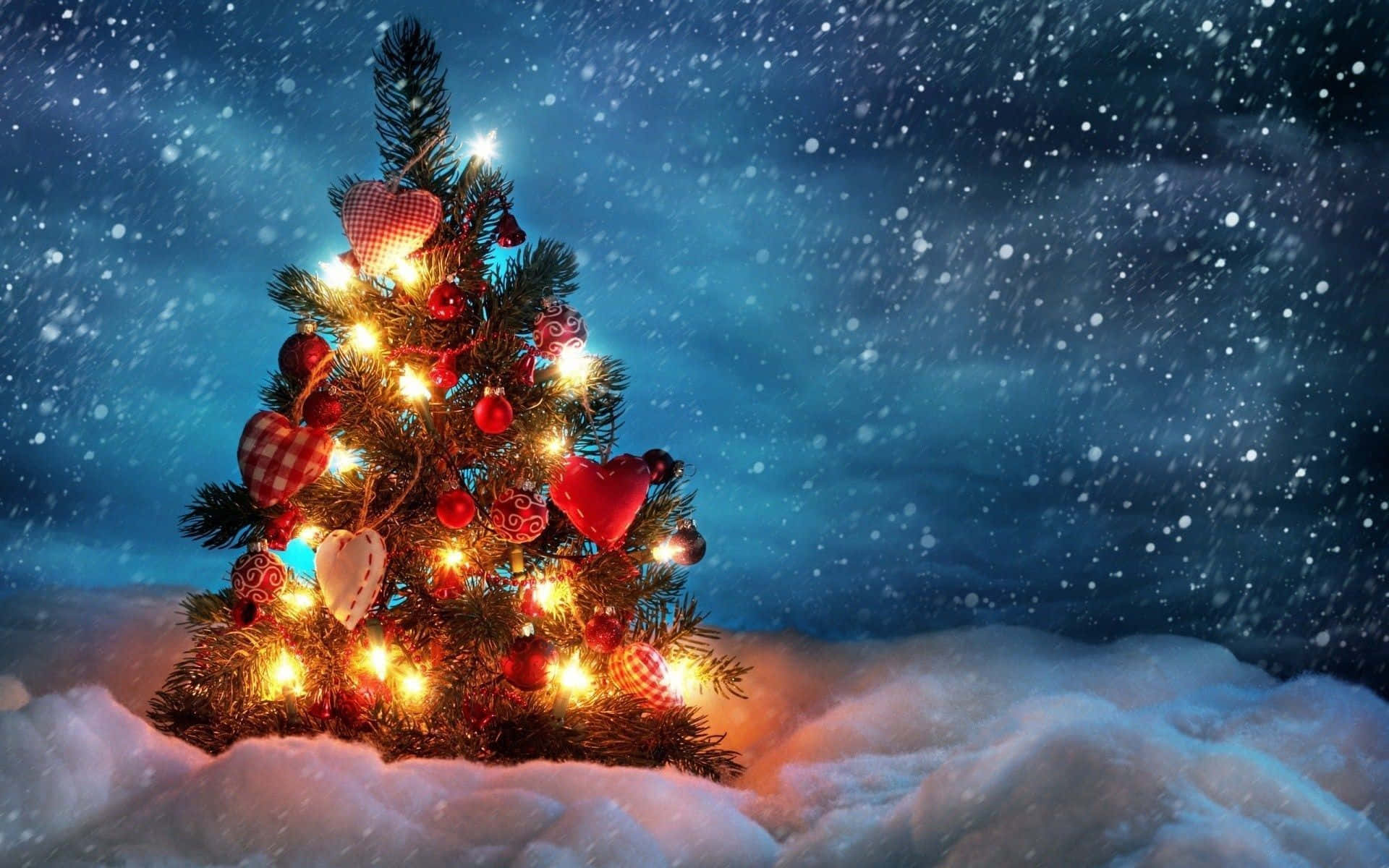 免費聖誕樹雪夜圖片 壁紙